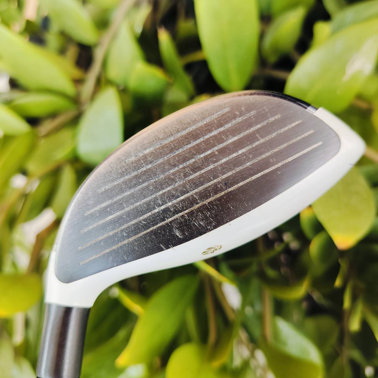 FW5 Taylormade GLOIRE เป็นตัวพรีเมี่ยมของ Taylormade งาน JDM เน้นขายในประเทศญี่ปุ่น คุณภาพดีมาก ตีง่าย สบายๆค่ะ ไม้กอล์ฟพรีเมี่ยมมือสอง ของแท้ By NakaraLuxurious