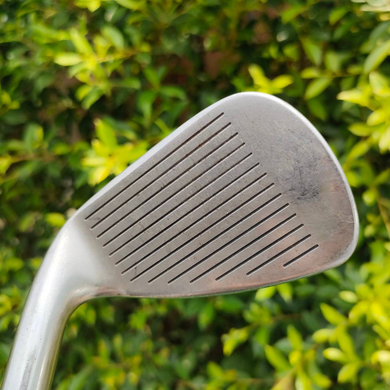 เหล็ก 8 TITLEIST DCI 981 ก้าน PRECISION FCM 5.5 ก้านดีมากๆ แม่นยำ มั่นคง