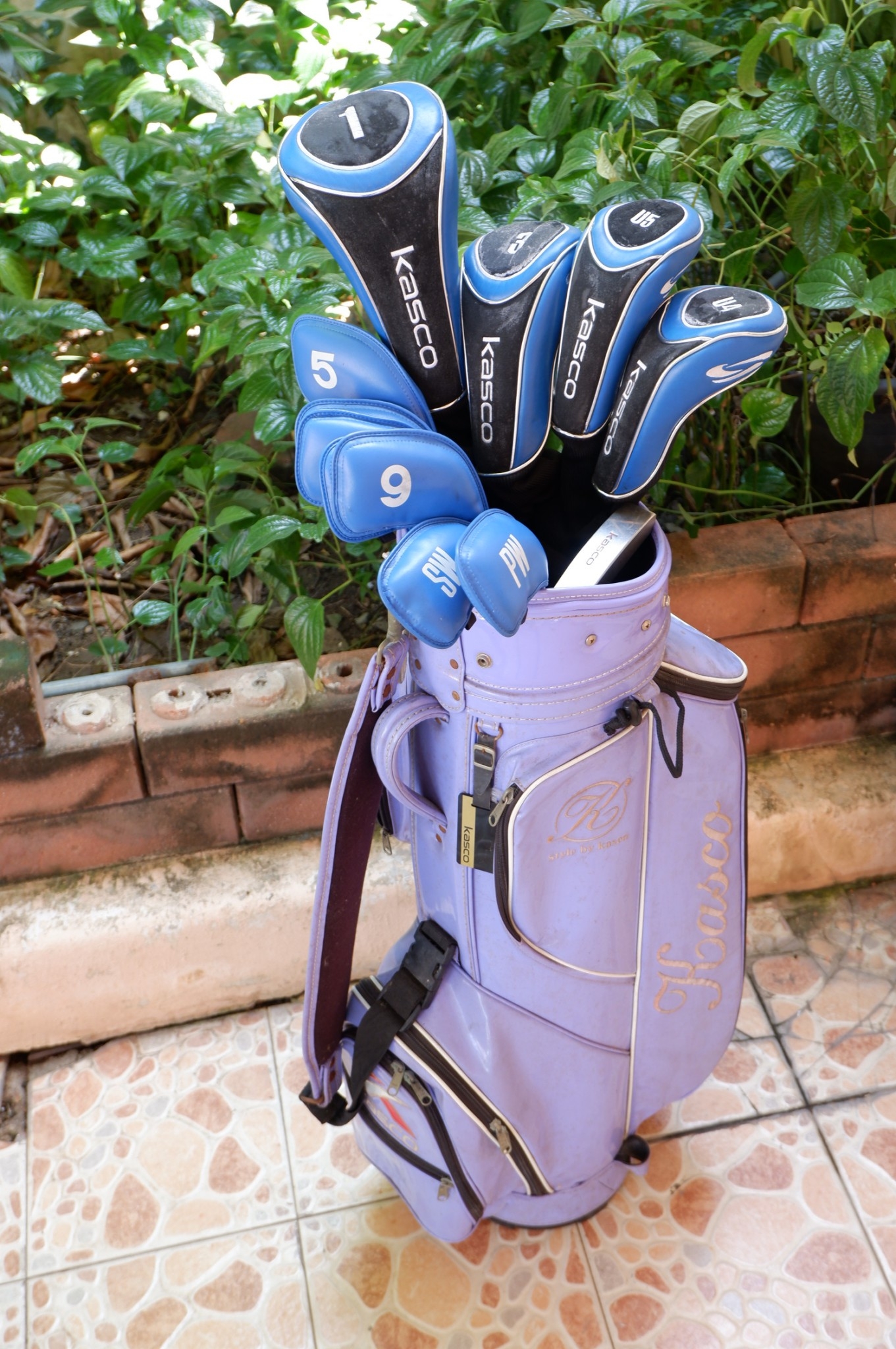 FUll SET KASCO DIMPALS G-FOUR