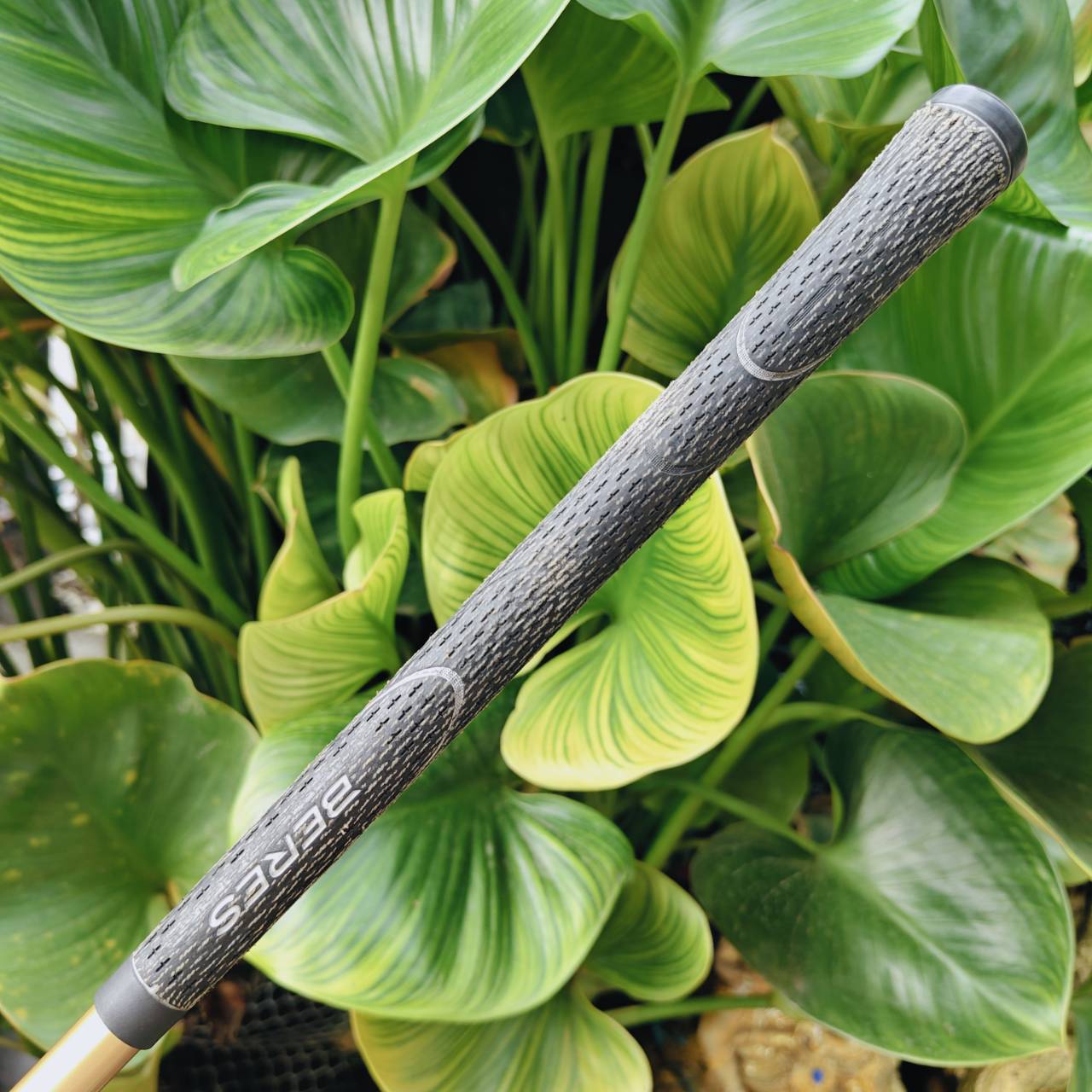 HONMA BERES MG701 – ความพรีเมียมที่มาพร้อมความง่ายในการเล่น 🇯🇵✨ MADE IN JAPAN SAKATA