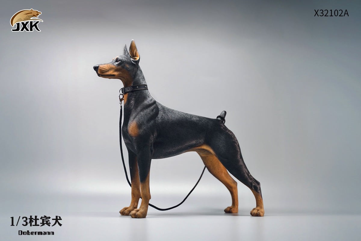 [สั่งจอง]JXK X32102 1/3 : Doberman Animal Model