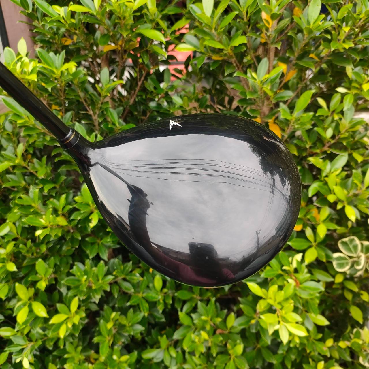 DRIVER XXIO PRIME ก้าน XXIO PRIME SP-600 FLEX SR องศา 10.5 สุดยอดไดร์เวอร์พรีเมี่ยมหน้าเด้ง แบรนด์อันดับ 1 จากประเทศญี่ปุ่น
