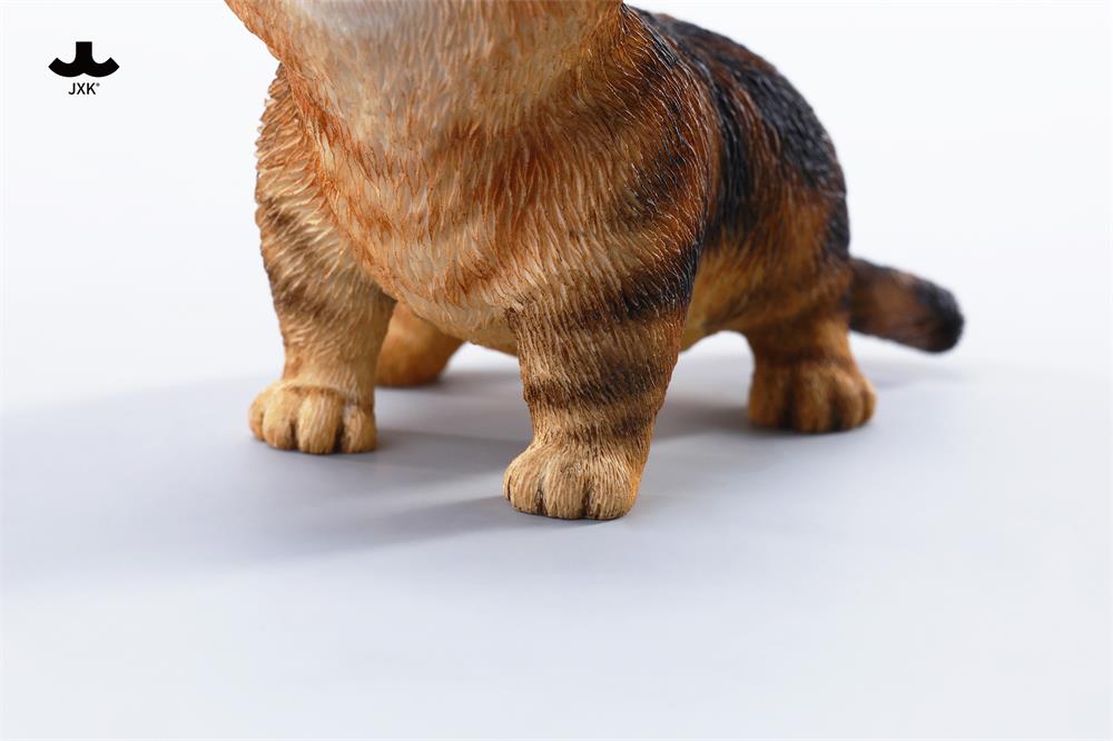 [สั่งจอง] JXK 1/6 : Kitten