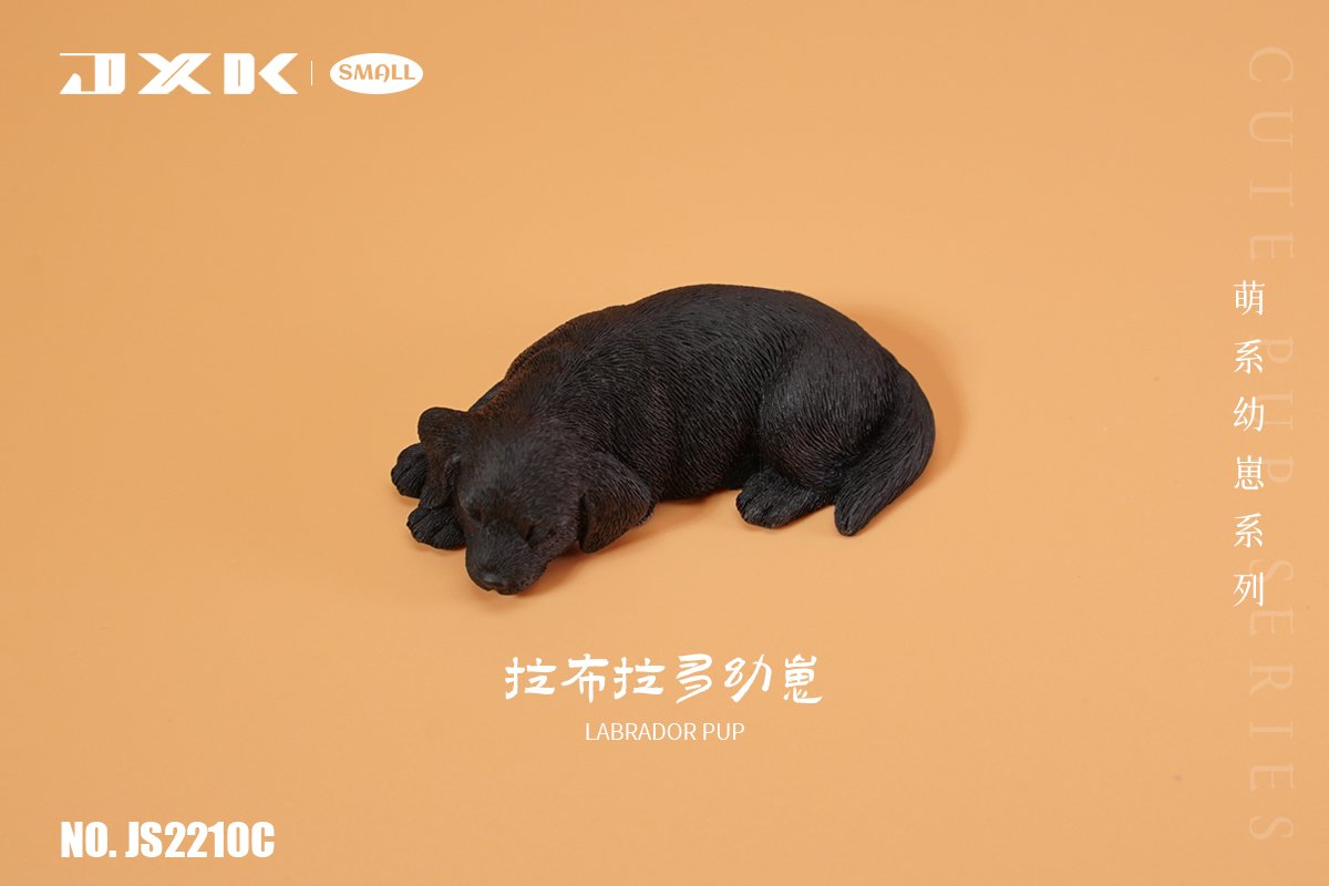 [สั่งจอง]JXK small : pup