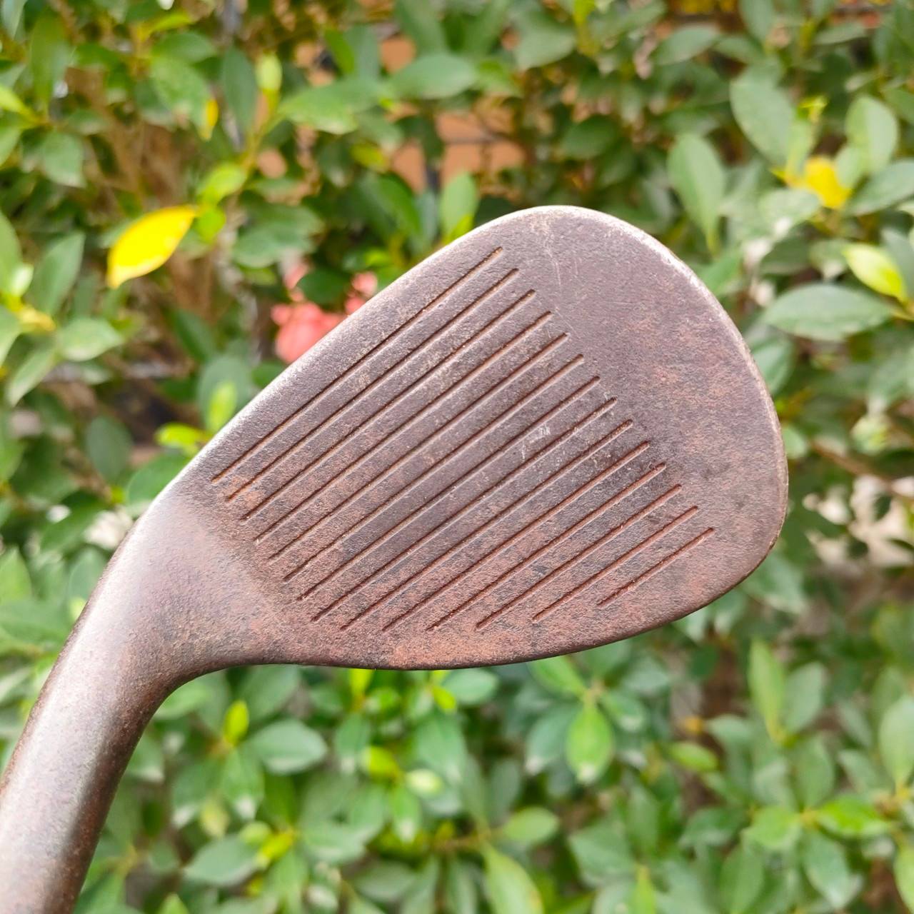 WEDGE M BY MIURA FORGED องศา 52 BOUNCE 6 FLEX WEDGE สุดยอด WEDGE พรีเมี่ยมสูงสุดของญี่ปุ่น