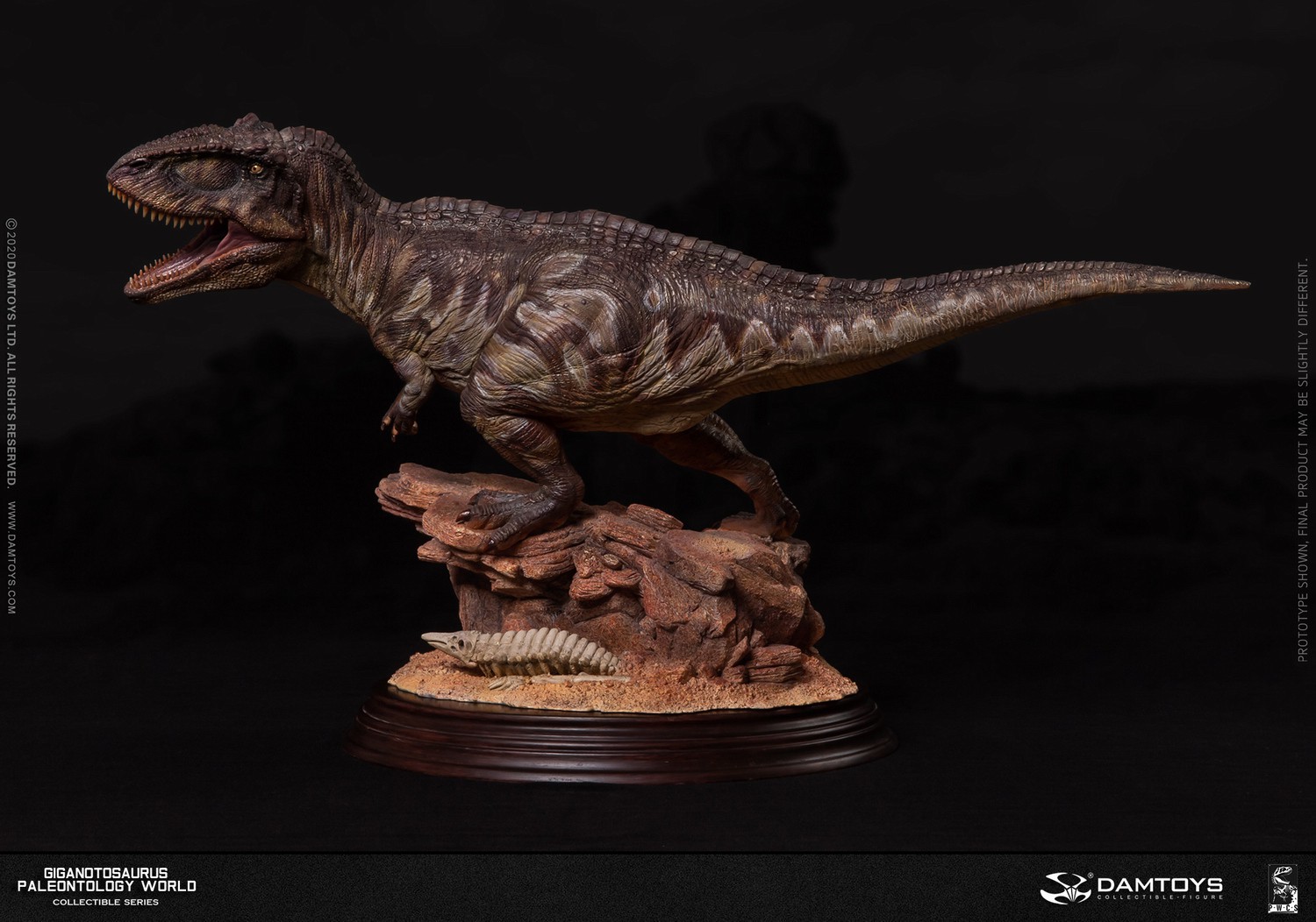[สั่งจอง] DAMTOYS MUS014 1/25 Museum Collection Series New Item – Giganotos