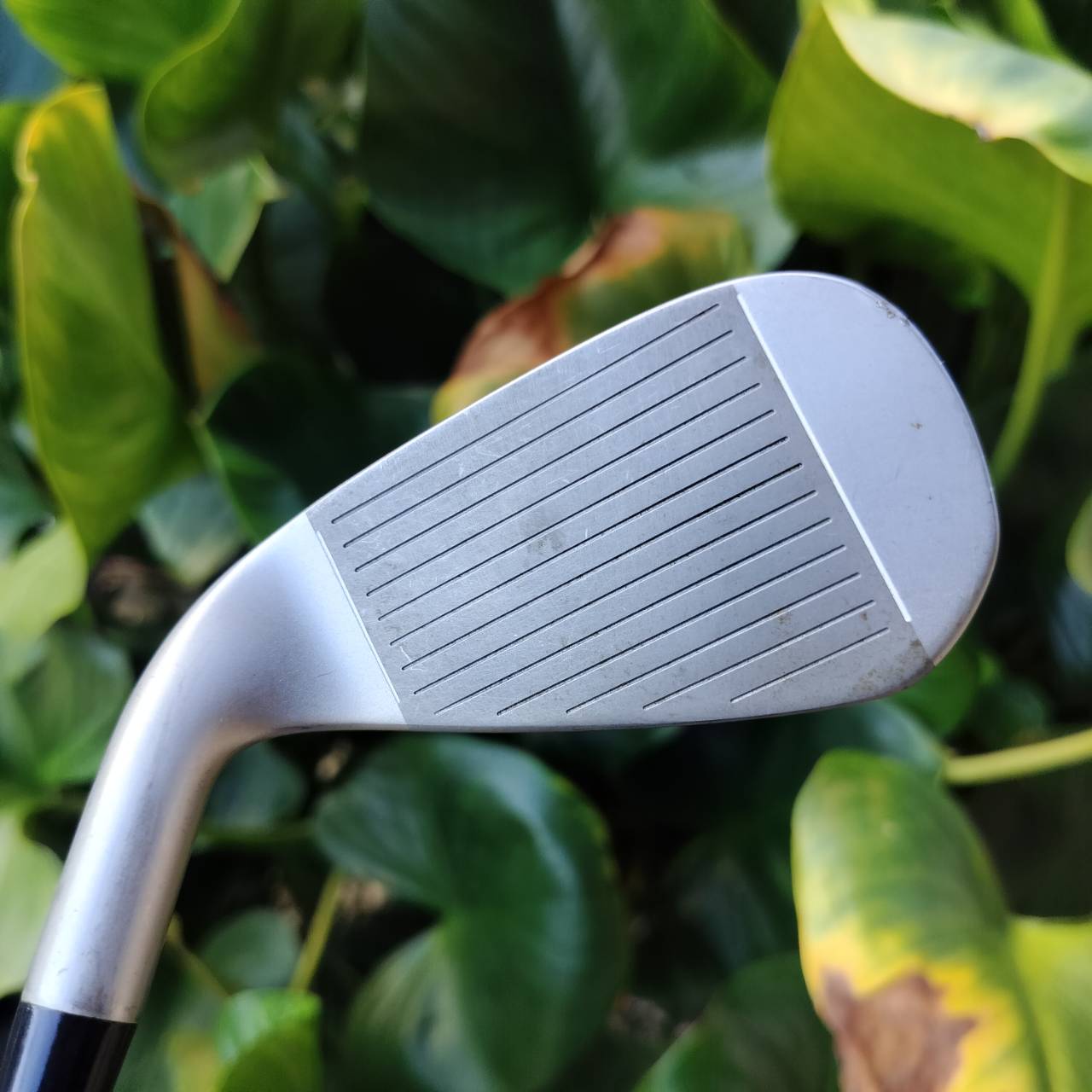 ไม้เหล็ก 7 รุ่น INESIS 100 จาก Decathlon เป็นตัวเลือกยอดนิยมสำหรับนักกอล์ฟมือใหม่ ไม้กอล์ฟพรีเมี่ยมมือสอง ของแท้ By NakaraLuxurious