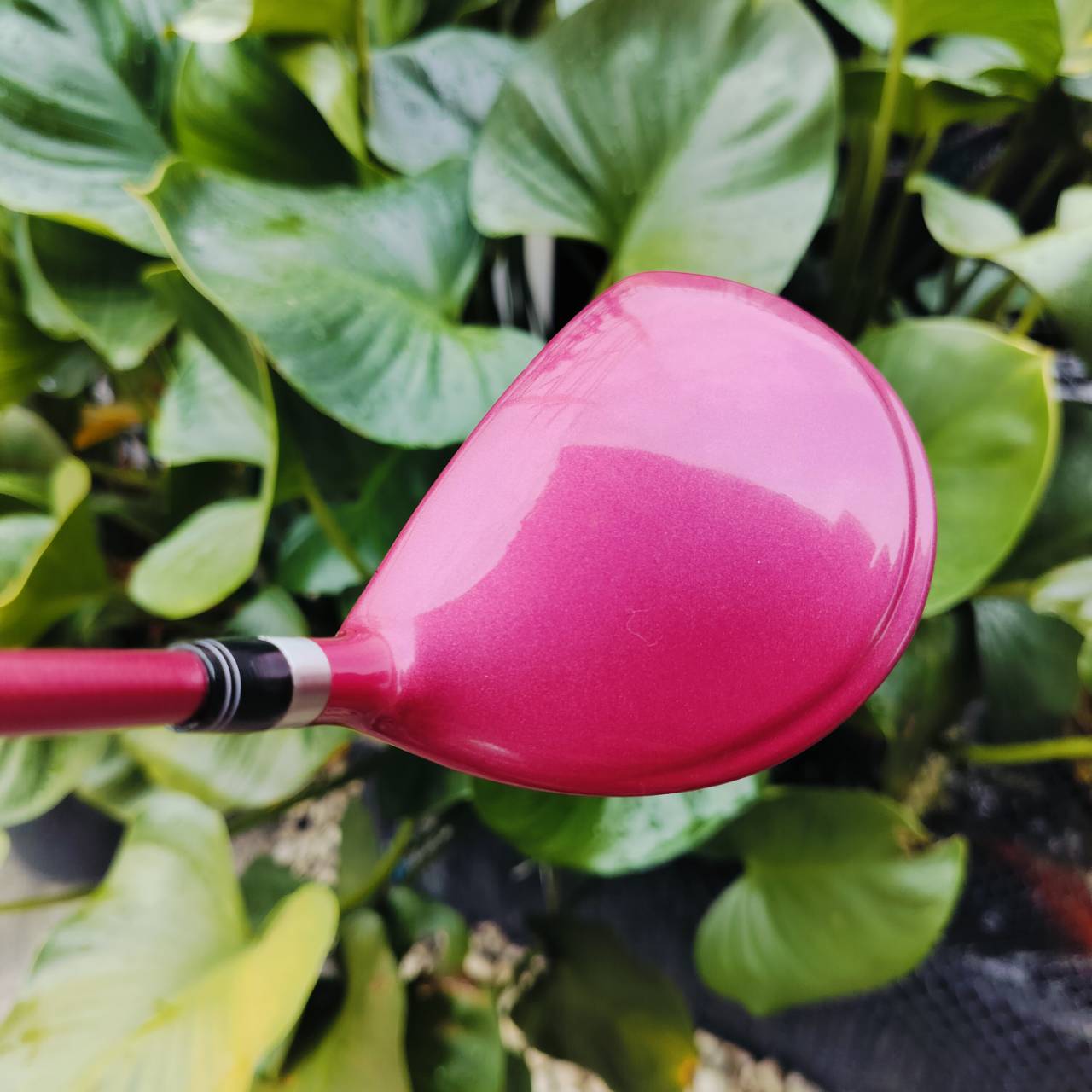 ** ไม้กอล์ฟผู้หญิง ** FW4 KASCO DIMPALS EL องศา 18 EASY DRIVE, LONGER FLIGHT! ตีทั้งง่าย และ ตีไกลมากๆเลยค่ะ ไม้กอล์ฟพรีเมี่ยมมือสอง ของแท้ By NakaraLuxurious