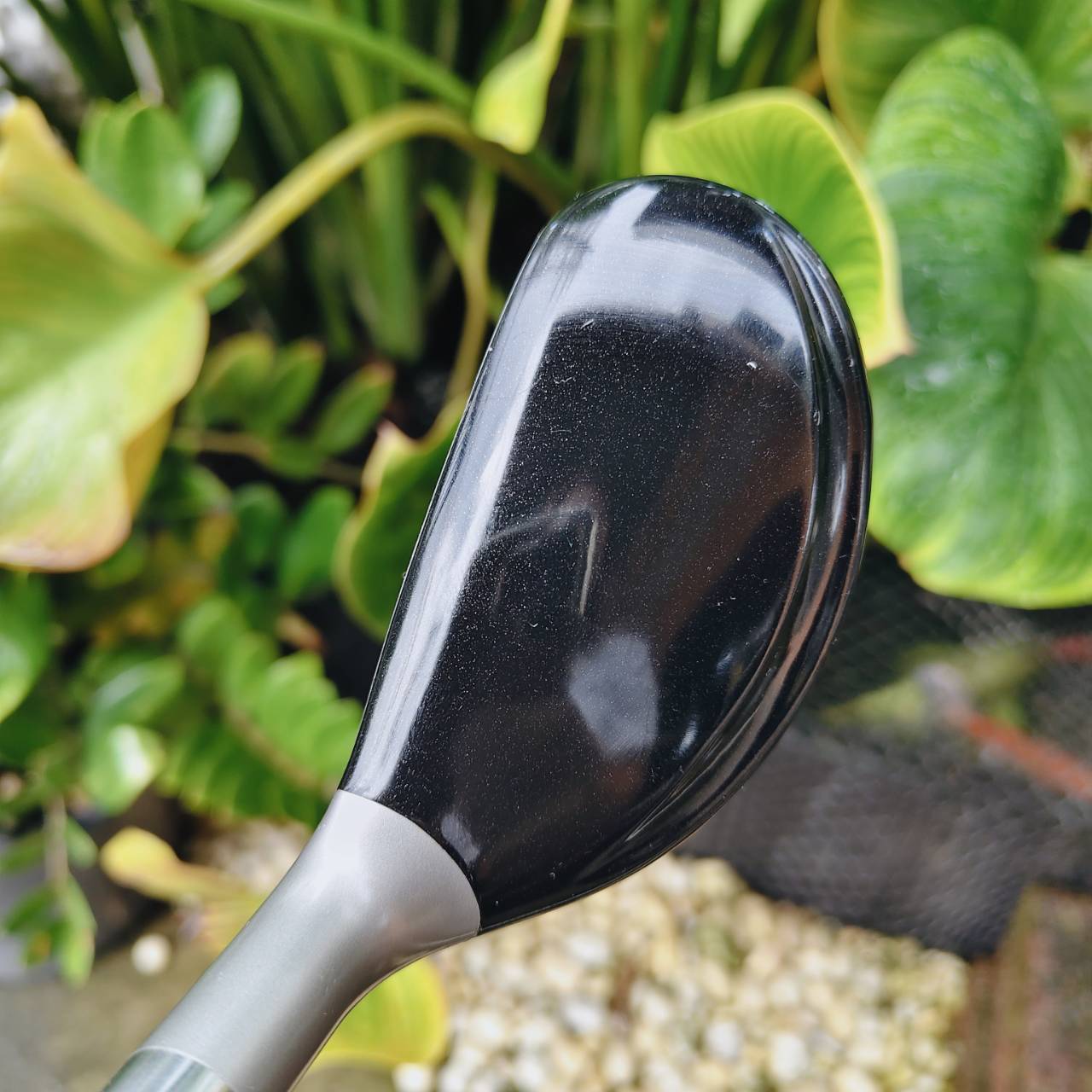 U2 Nike VR – 18° / TOUR AD FLEX SR ก้านดีพรีเมี่ยม ตีสนุกมาก!!!