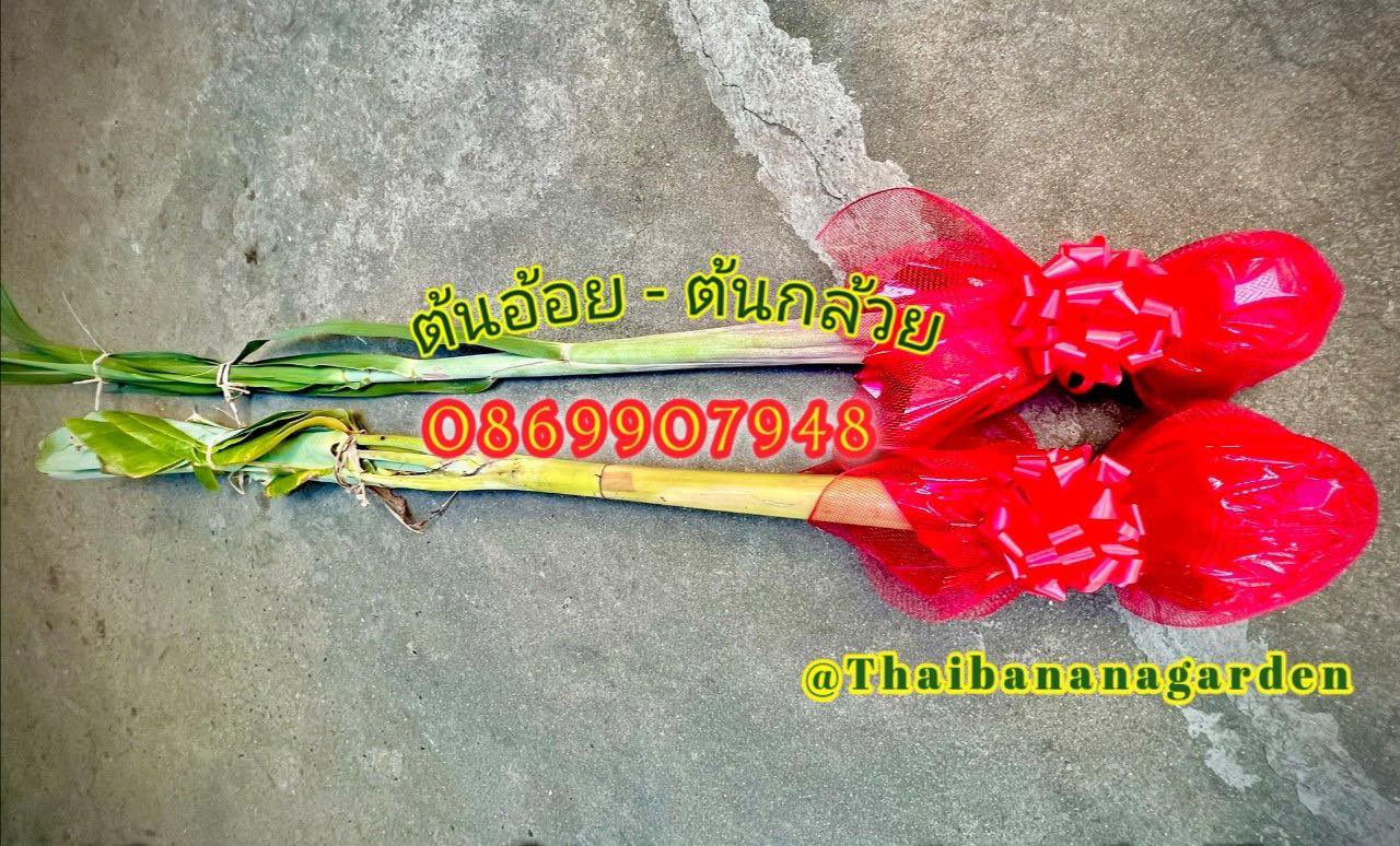 ต้นอ้อย ต้นกล้วย (ขันหมาก) (ทรงเครื่อง)