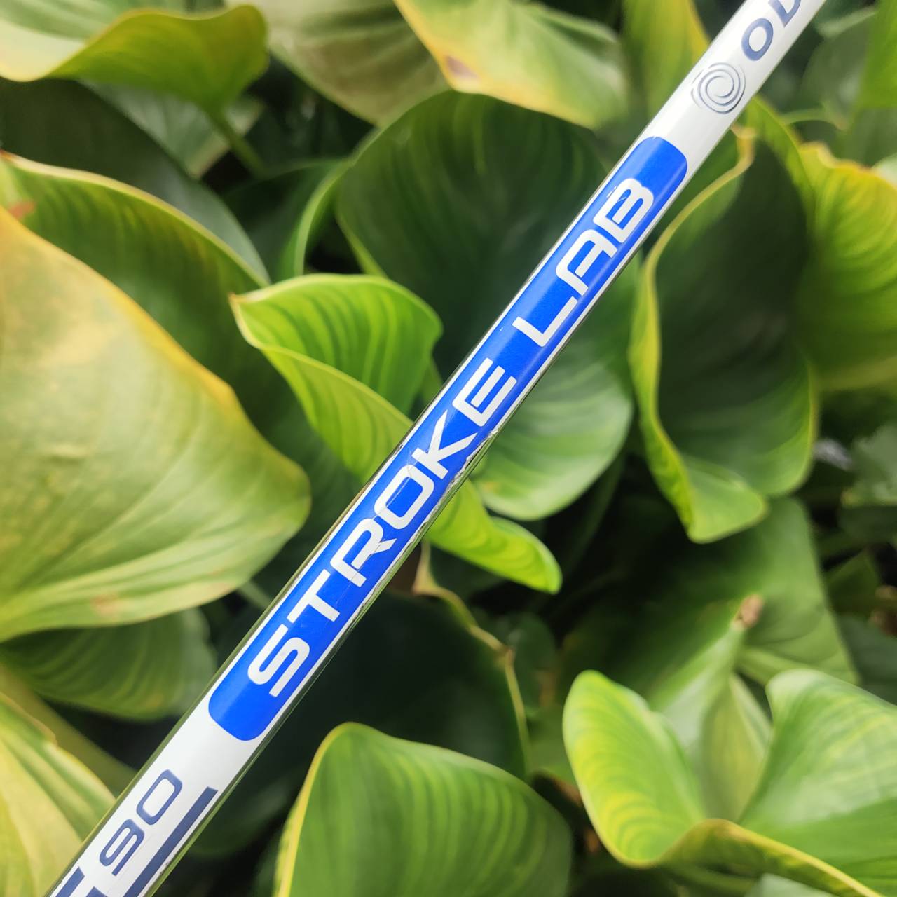 PUTTER ODYSSEY AI-ONE #7 CH 34 นิ้ว COVER แท้เดิม เบอร์ 7 เป็นรูปทรงที่นิยมสูงสุดในตอนนี้