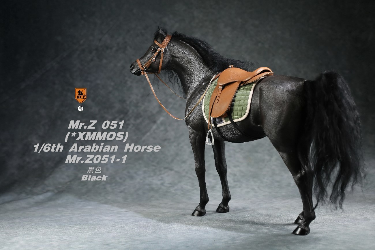 [สั่งจอง]Mr.Z MRZ051 1/6 animal model : Arabian Horse
