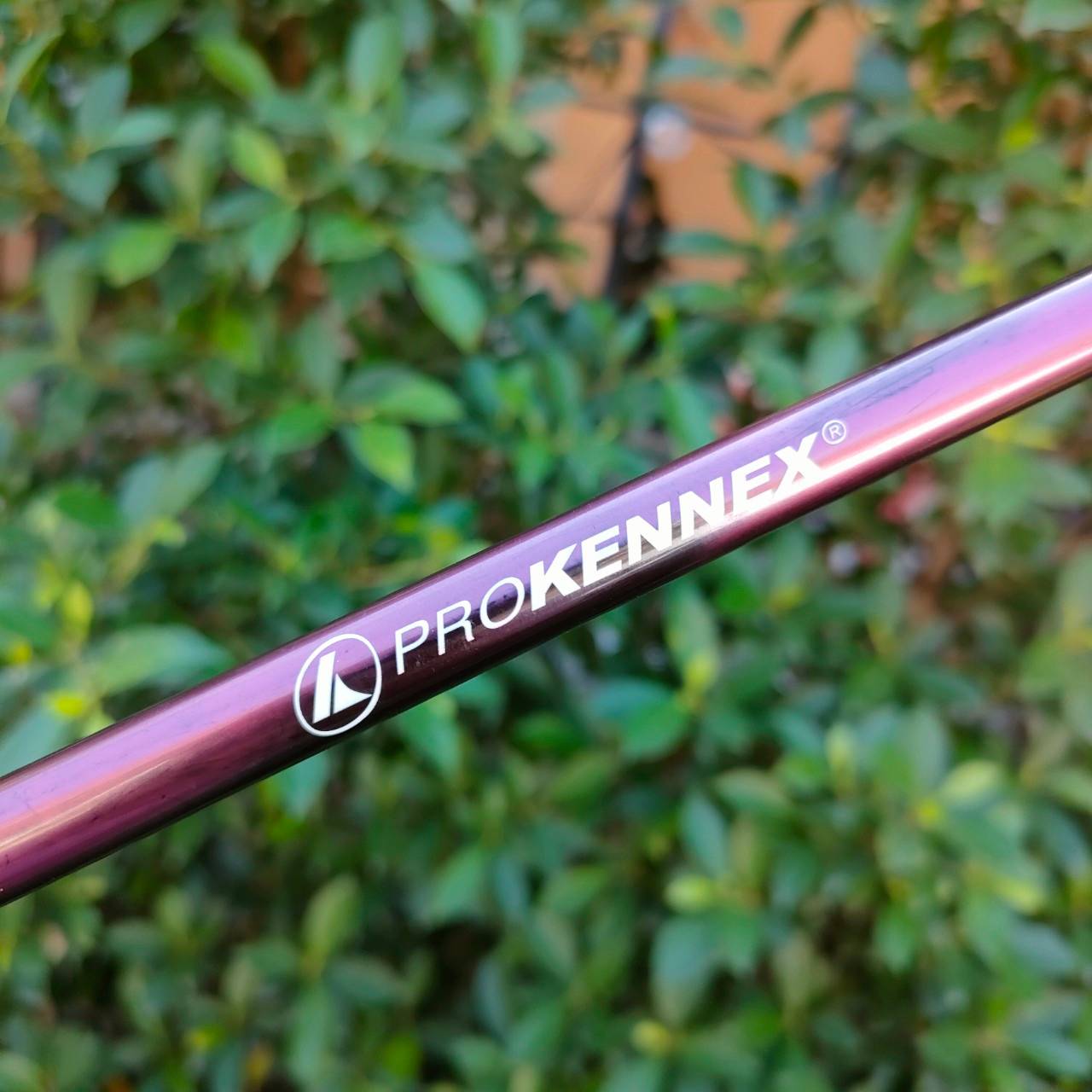 **ไม้กอล์ฟครบชุดสำหรับผู้หญิง** FULLSET PROKENNEX SIGMA MADE IN JAPAN