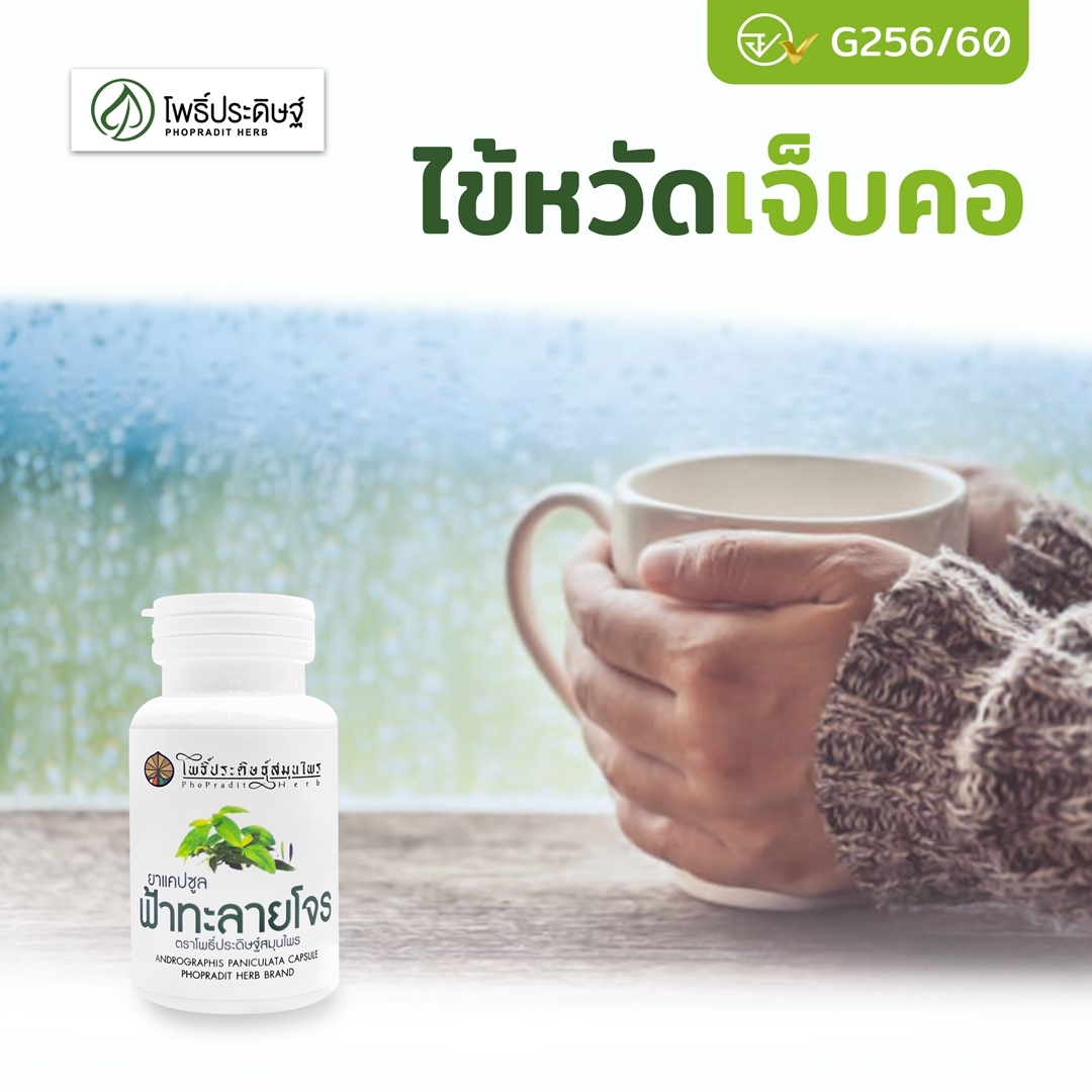 ยาฟ้าทะลายโจร แคปซูล (แก้ไข้ ร้อนใน บรรเทาอาการเจ็บคอ) 100 แคปซูล