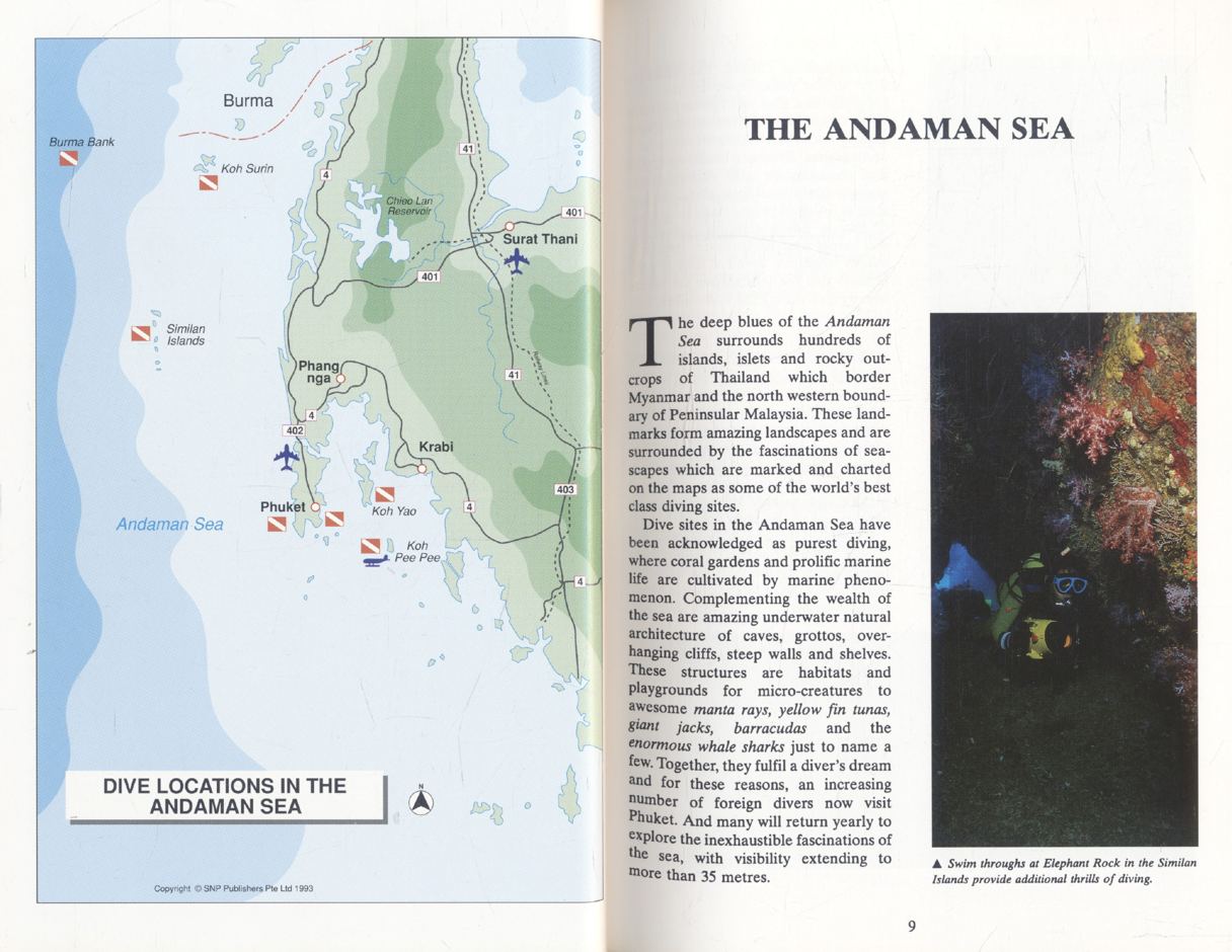Diving Escapades In Thaialand's Tropical Seas **เนื้อหาเป็นภาษาอังกฤษ (ทริปดำน้ำในทะเลเขตร้อนของประเทศไทย)