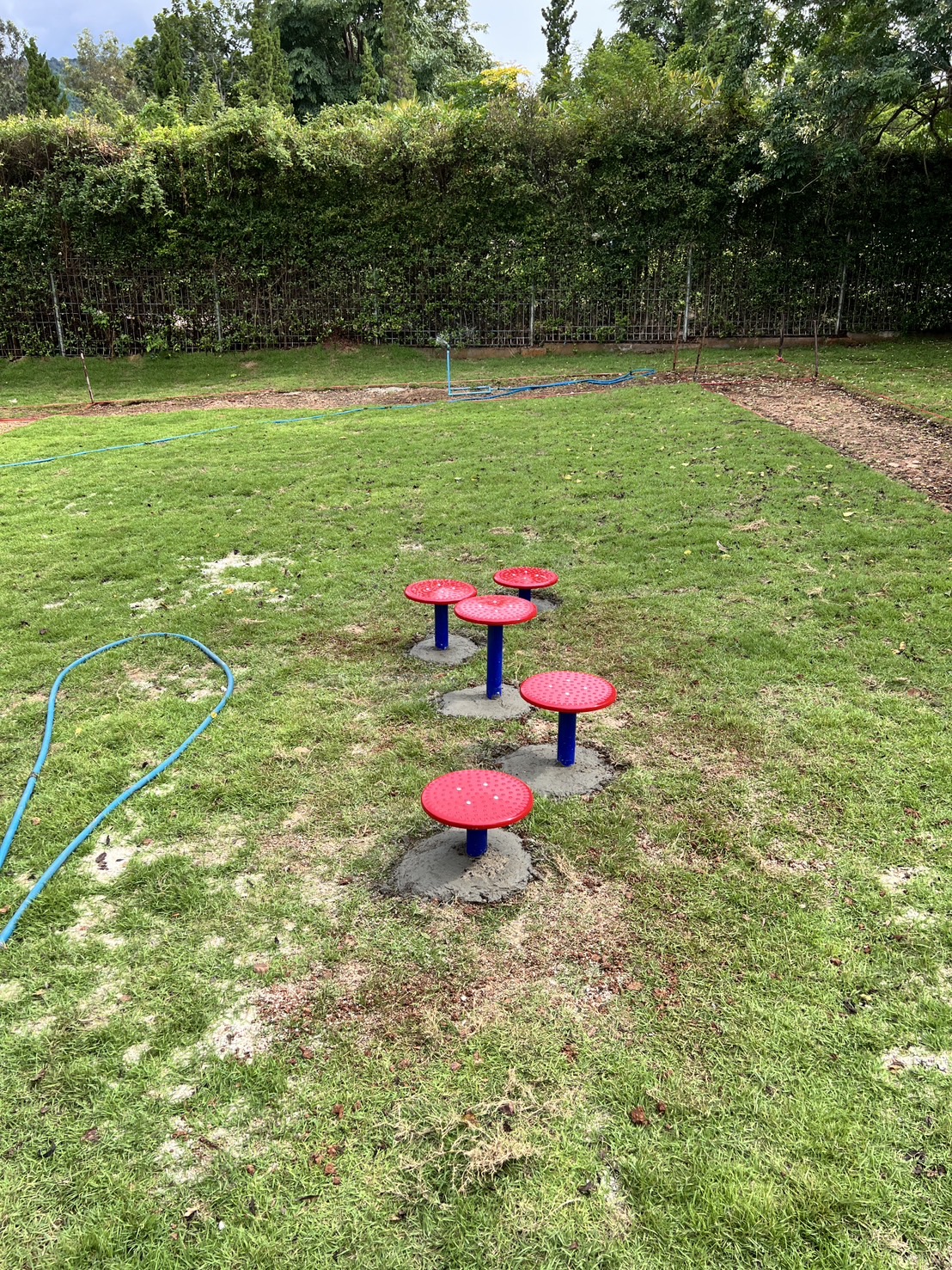 ทางเดินต่างระดับ Stepping Paw เครื่องเล่นสนามเด็ก เครื่องเล่นสุนัข ของเล่นหมา ฝึกสุนัข ฝีกทรงตัวเด็ก