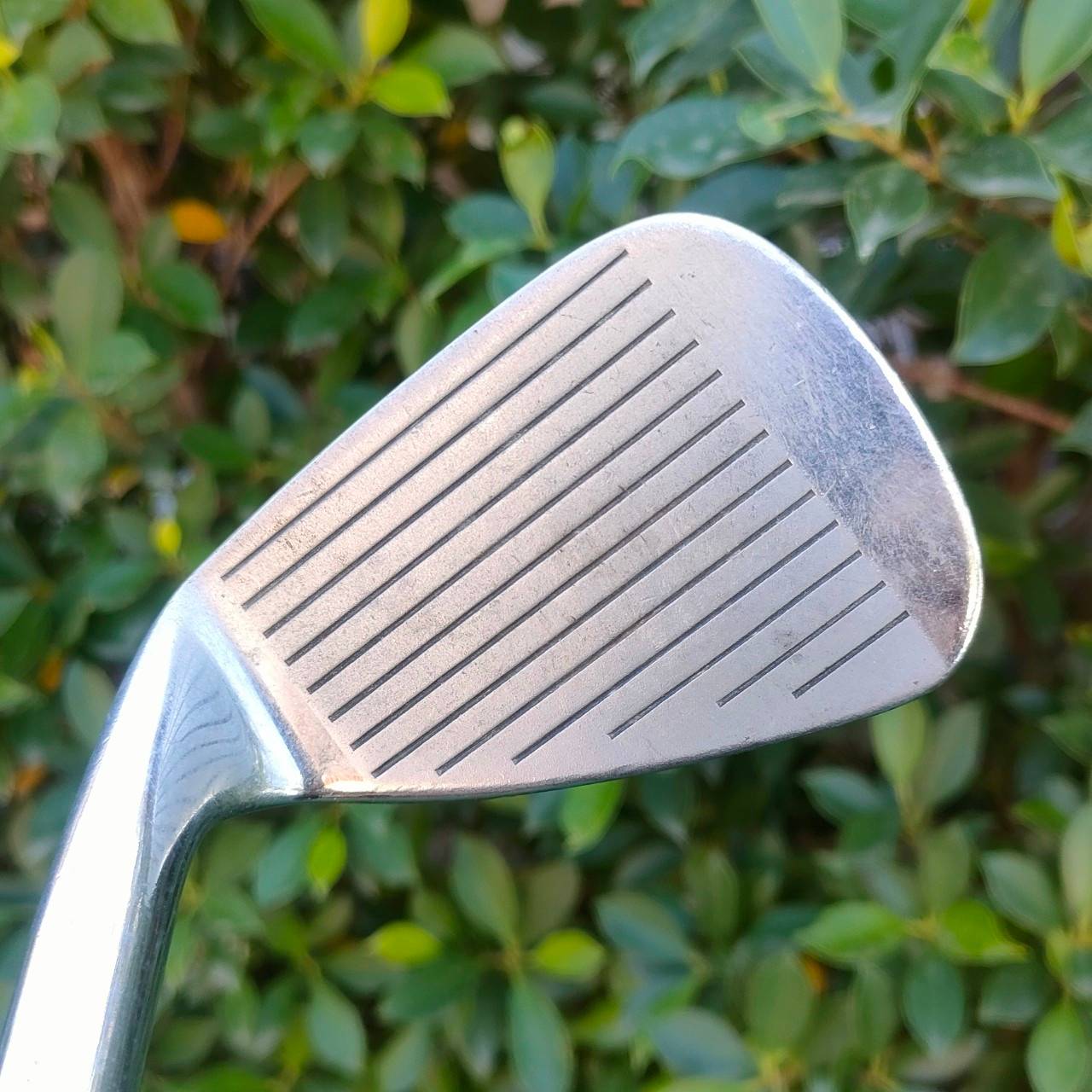 ชุดเหล็ก GOLDEN RAM PRO TOUR CAMBER SOLE มีเหล็ก 3-9 เเละ WEDGE RAM วัสดุ FORGED พรีเมี่ยม มันส์ๆ