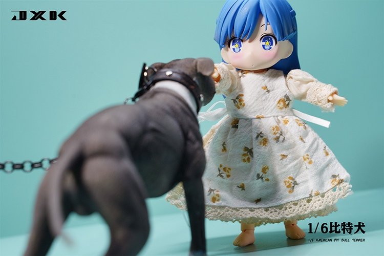 [สั่งจอง]JXK JXK129 1/6 : Pitbull