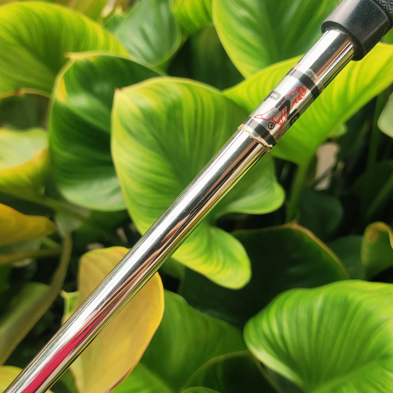 PUTTER PING PAL2 – ทองแดงแท้ BECU (Beryllium Copper)