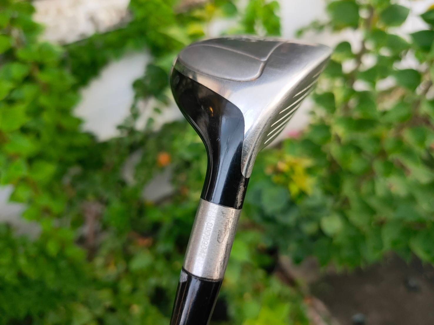 HYBRID TITLEIST VG3