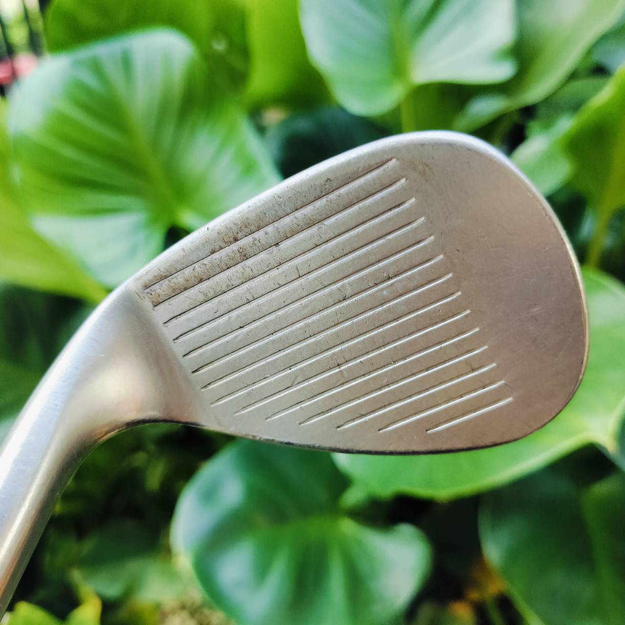 WEDGE Titleist Vokey C-C องศา 58 BOUNCE 08 ก้าน เดิม WEDGE FLEX สภาพสวยเลยค่ะ หน้า SPIN MILLED ต้นตำหรับ ตกหยุดถอยๆ ฟีลลิ่งนุ่มมาก ไม้กอล์ฟพรีเมี่ยมมือสอง ของแท้ By NakaraLuxurious