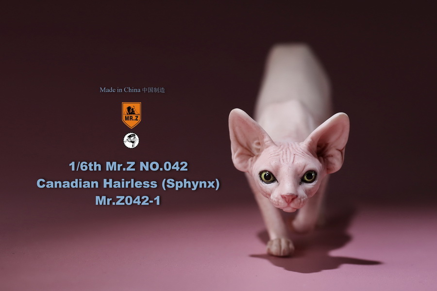 [สั่งจอง]แมวสฟิงก์ แมวน้อยขนกลับด้าน 1/6 Mr. Z Animal Model No.42: 1/6th Canadian Hairless (Sphynx)