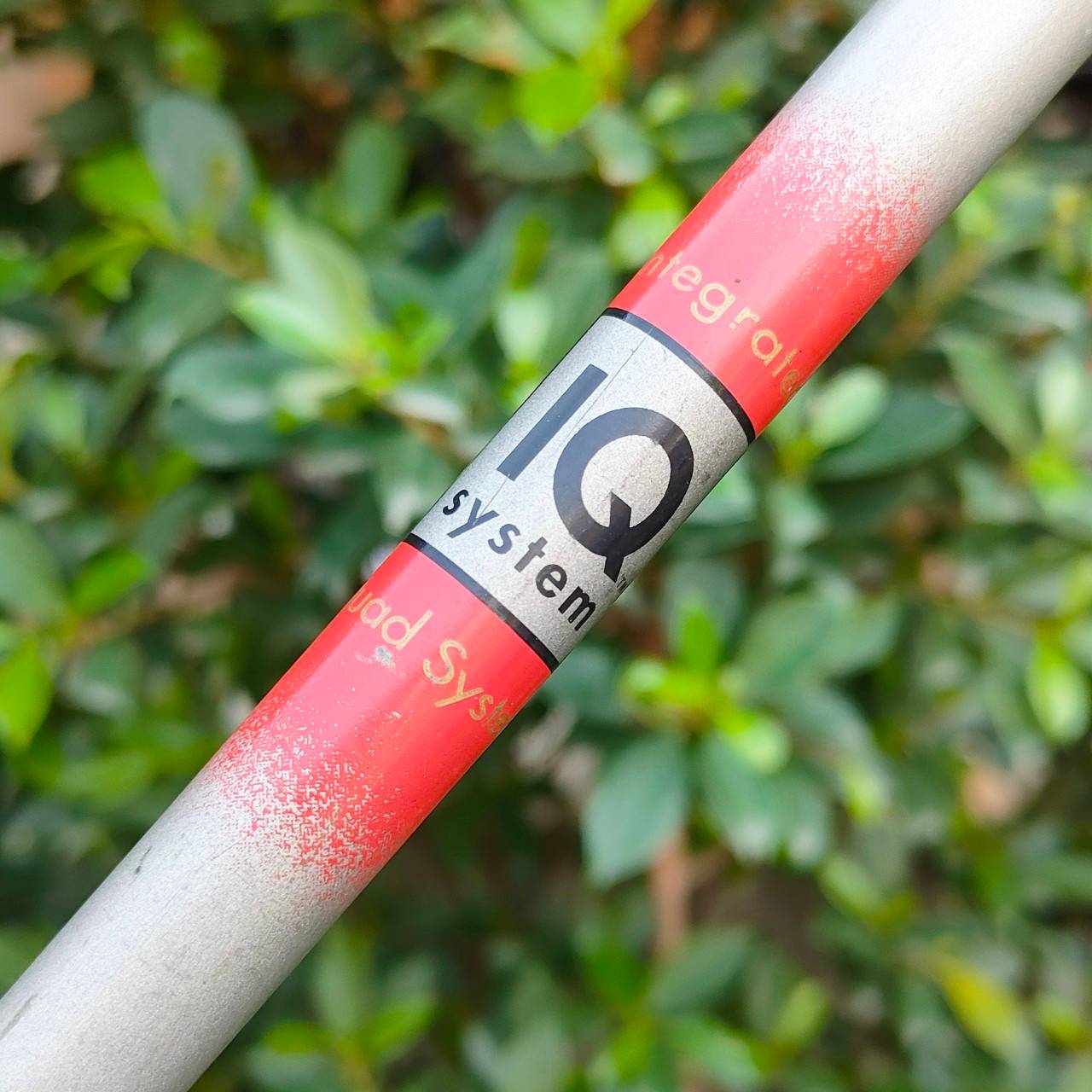 ชุดเหล็ก KING COBRA II OVERSIZE มีเหล็ก 3-9 เเละ PW SW ก้าน KING IQ SYSTEM FLEX R