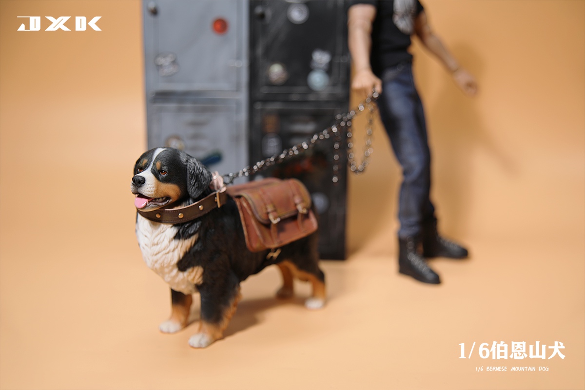 [สั่งจอง]JXK JXK144 1/6 : Bernese Mountain Dog