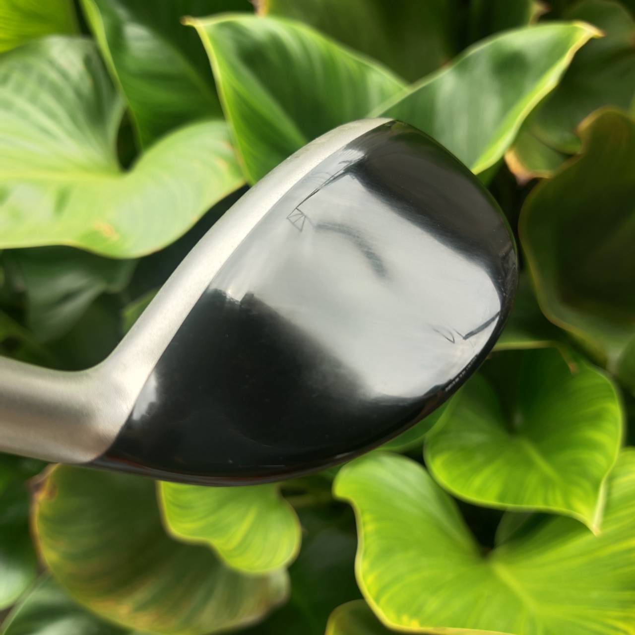 UT/Hybrid PING G10 24° ออกแบบด้วย หัวไม้กว้างกว่าและ Crown โค้ง → CG ต่ำและลึก