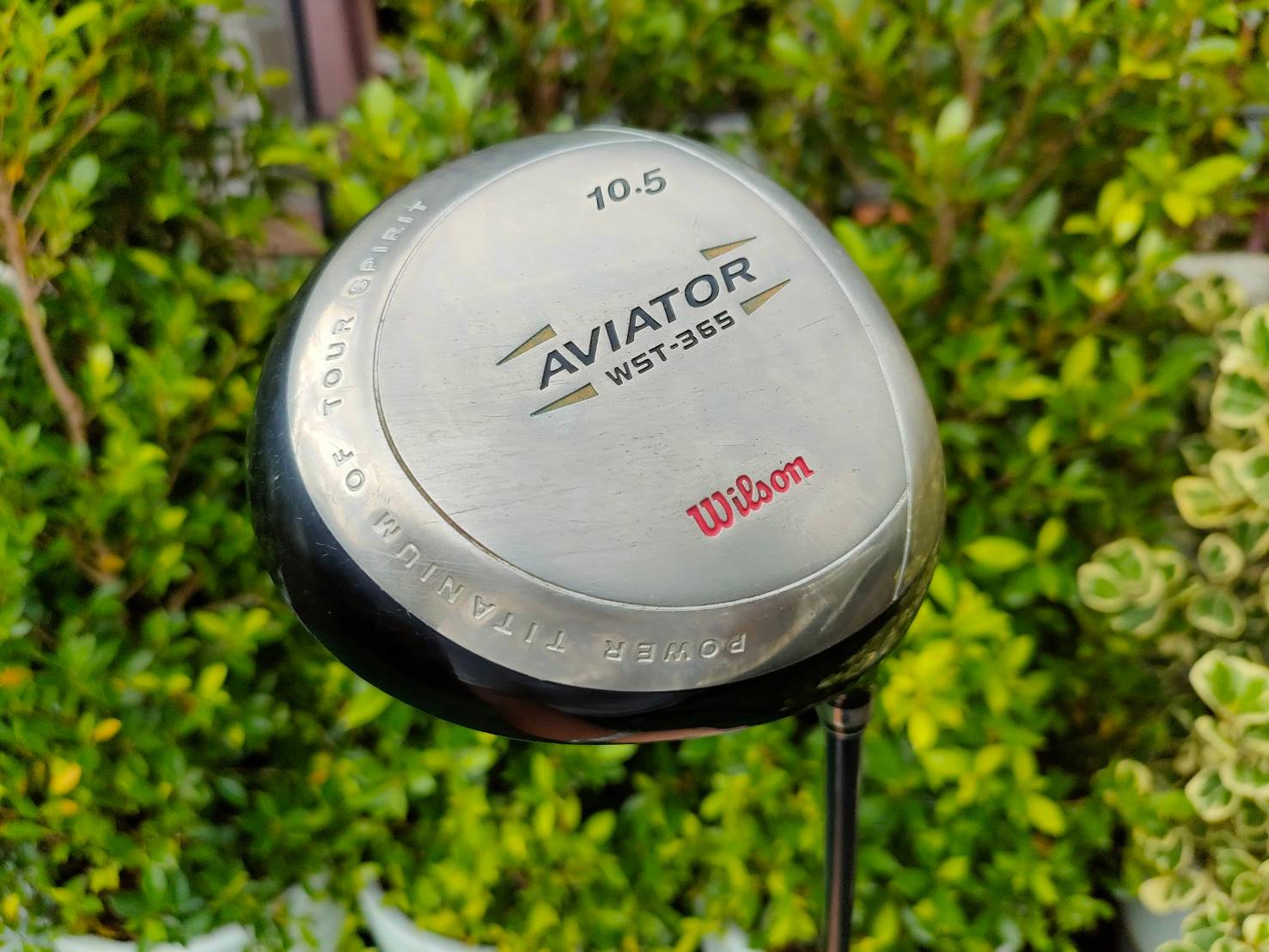 Driver WILSON AVIATOR