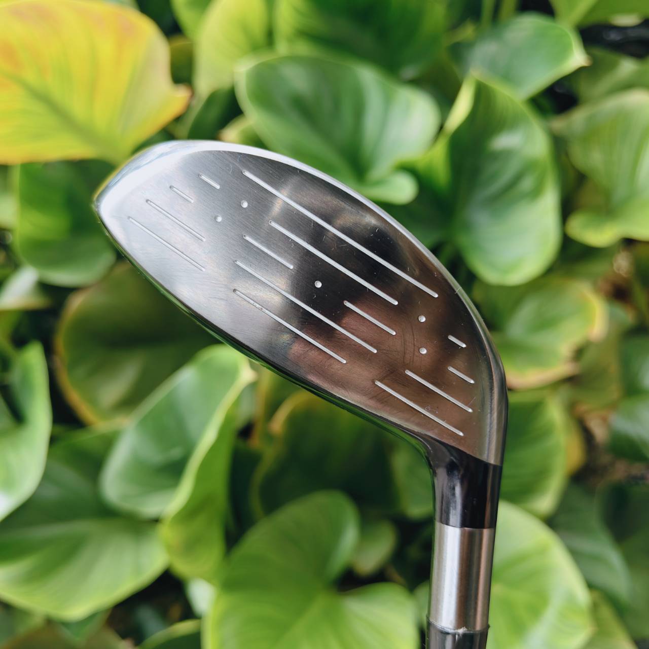 มือซ้ายตัวเด็ด!! FW5 MARUMAN SHUTTLE หน้าเด้ง MARAGING องศา 18