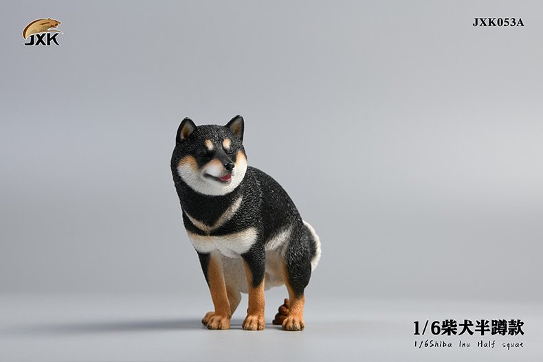 [สั่งจอง]JXK studio 1/6 : Shiba Inu