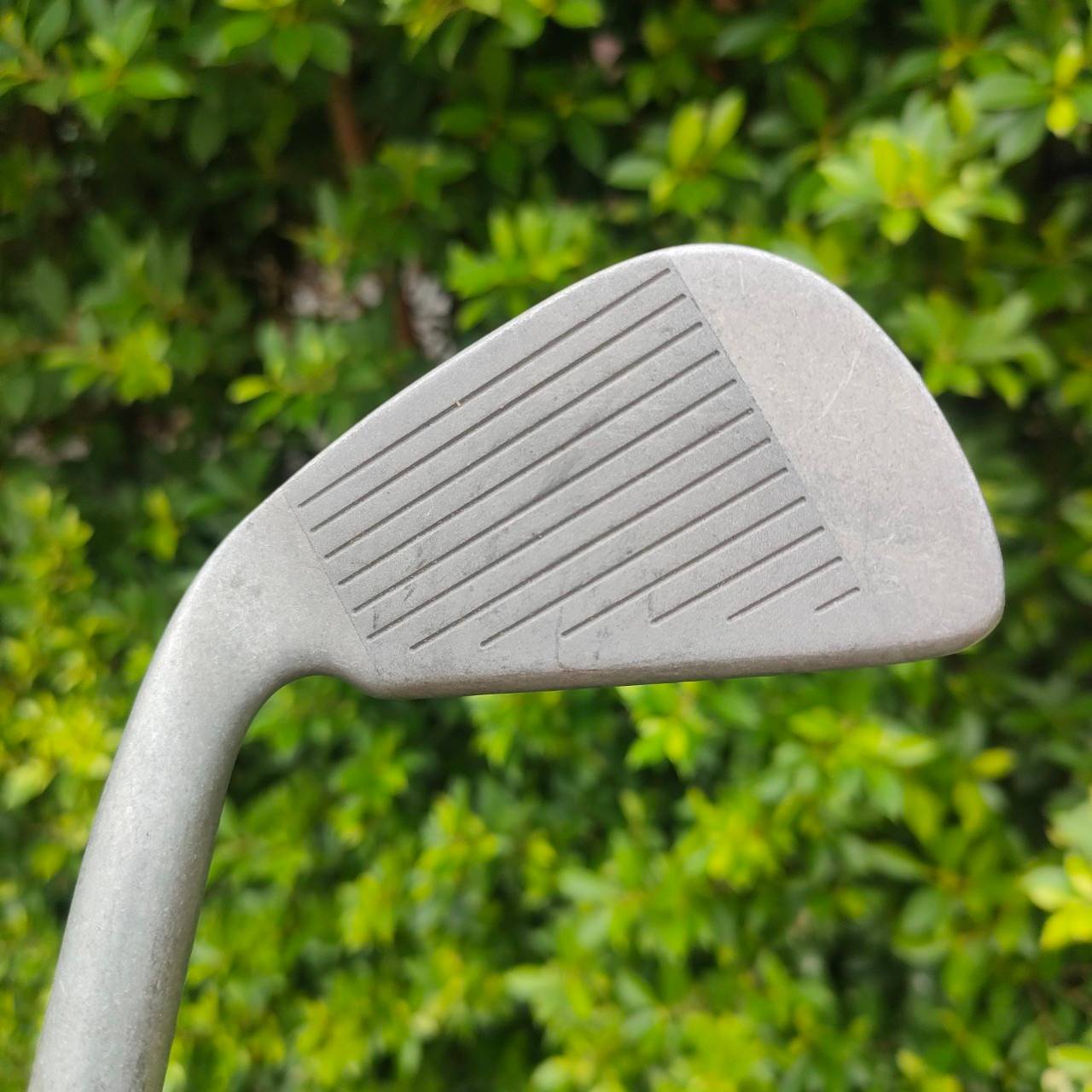 ชุดเหล็ก TRANSITION LANGERT วัสดุสุด premium มีเหล็ก 3 - 9 เเละ PW SW ก้าน TRUE TEMPER R300 ไม้กอล์ฟมือสอง ของแท้ BY NakaraLuxurious