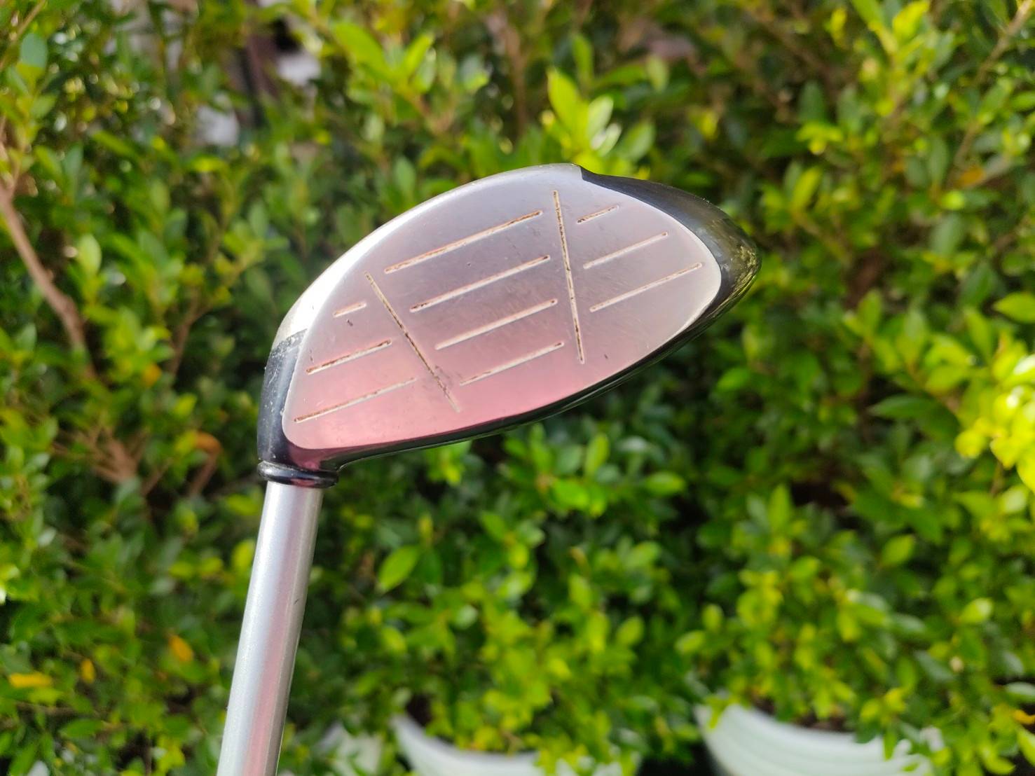 FW5 STEELHEAD PLUS