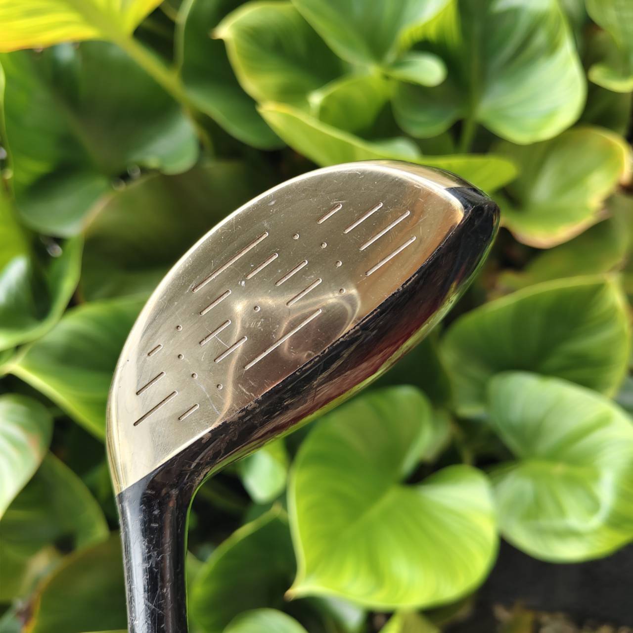 5W MARUMAN MAJESTY POWER – SB SOLE ตีไกลแบบขีดสุด หน้าเด้งมาก Sole แบบพิเศษ สไลด์ผ่านพื้นได้ดี