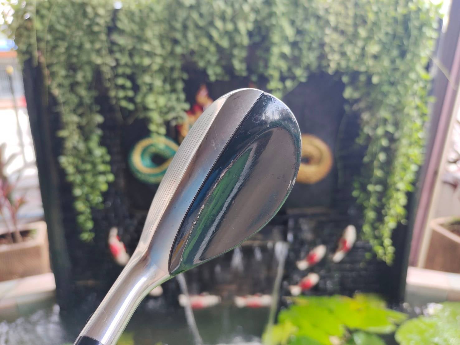 ไฮบริด Cleveland HALO