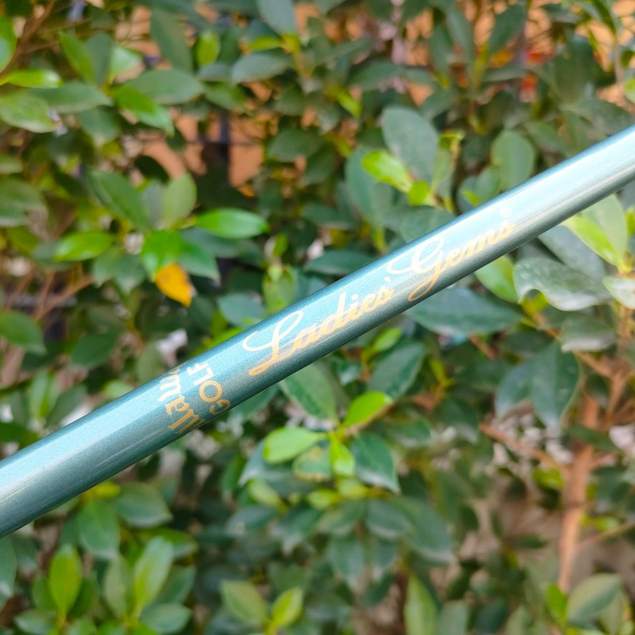 ** ไม้กอล์ฟสำหรับผู้หญิง ** ชุดเหล็ก CALLAWAY BIG BERTHA มีเหล็ก 4,6,8,9 เเละ PW ** ขาดเหล็ก 5 เเละ7 **