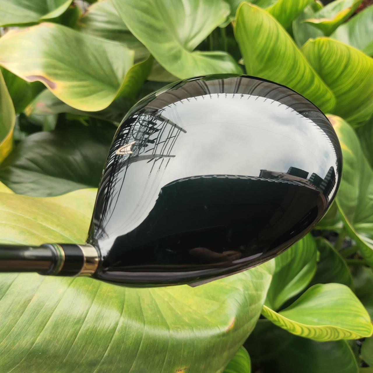 Driver PHYZ Premium Model | หัวสีทอง ไม้กอล์ฟระดับพรีเมียมสูงสุดของ Bridgestone Japan