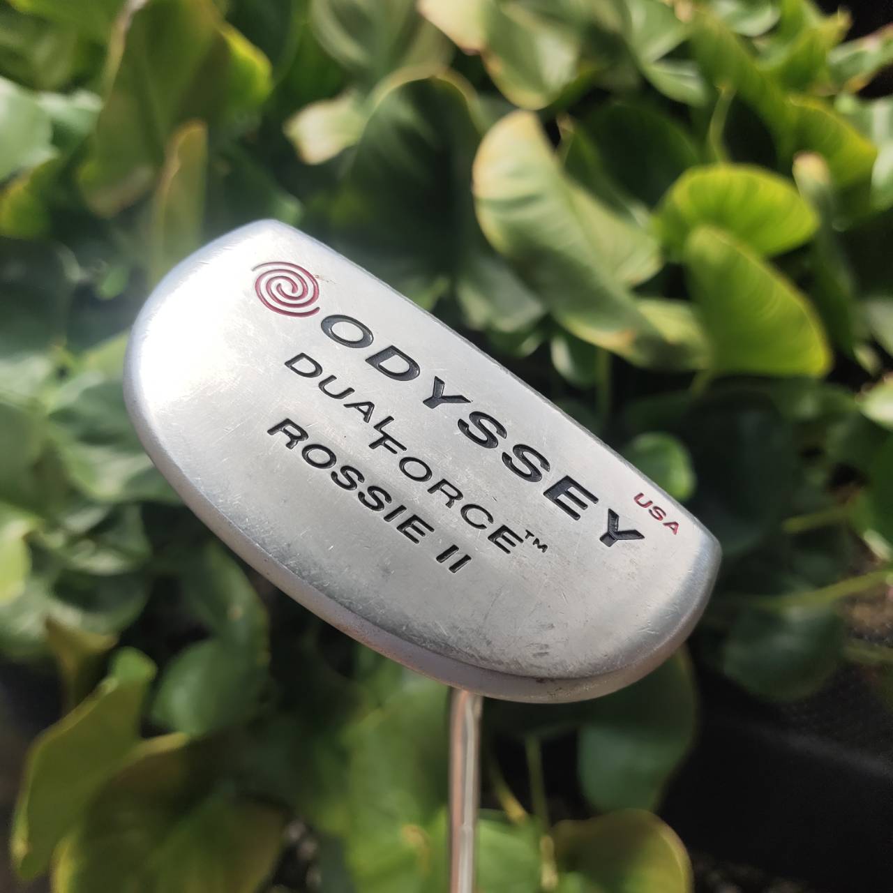 PUTTER ODYSSEY DUAL FORCE ROSSIE II รุ่นหน้าดำทั้งนุ่มและเกาะไลน์มาก