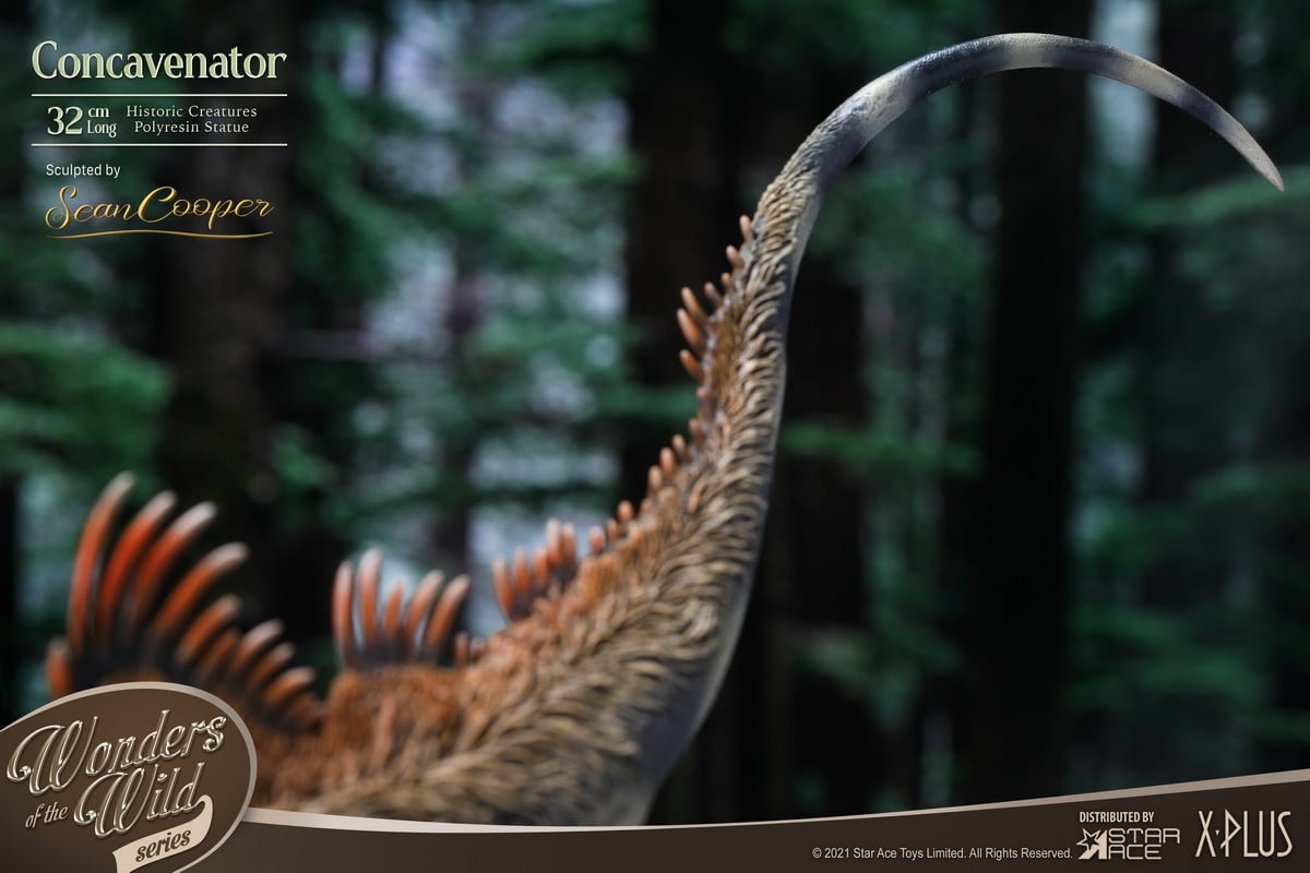 [สั่งจอง] X-Plus / STAR ACE SA5002 : WONDER WILD series Concavenator Statue