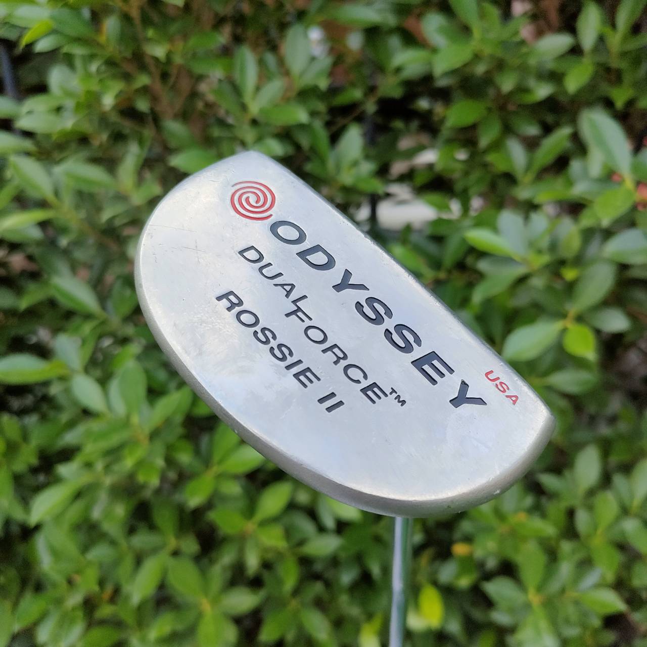 PUTTER ODYSSEY DUAL FORCE ROSSIE II USA ความยาว 34 นิ้ว หน้าดำ นุ่มหนึบ เกาะไลน์ ทองมอลเล็ต พัตต์ง่าย เล็งง่ายมากๆ