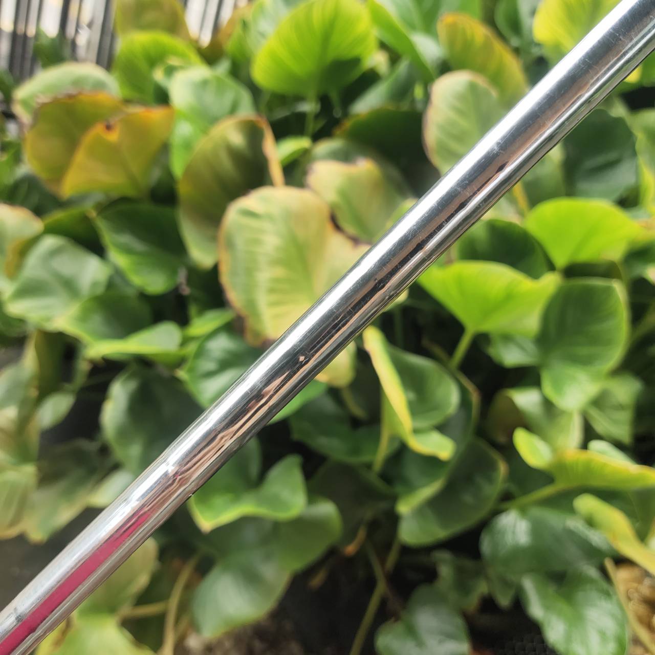 PING G2 IRONS หนึ่งในรุ่นขายดีที่สุดของ PING ที่เน้น “ตีง่าย-Forgiving สูง” สำหรับนักกอล์ฟทุกระดับ