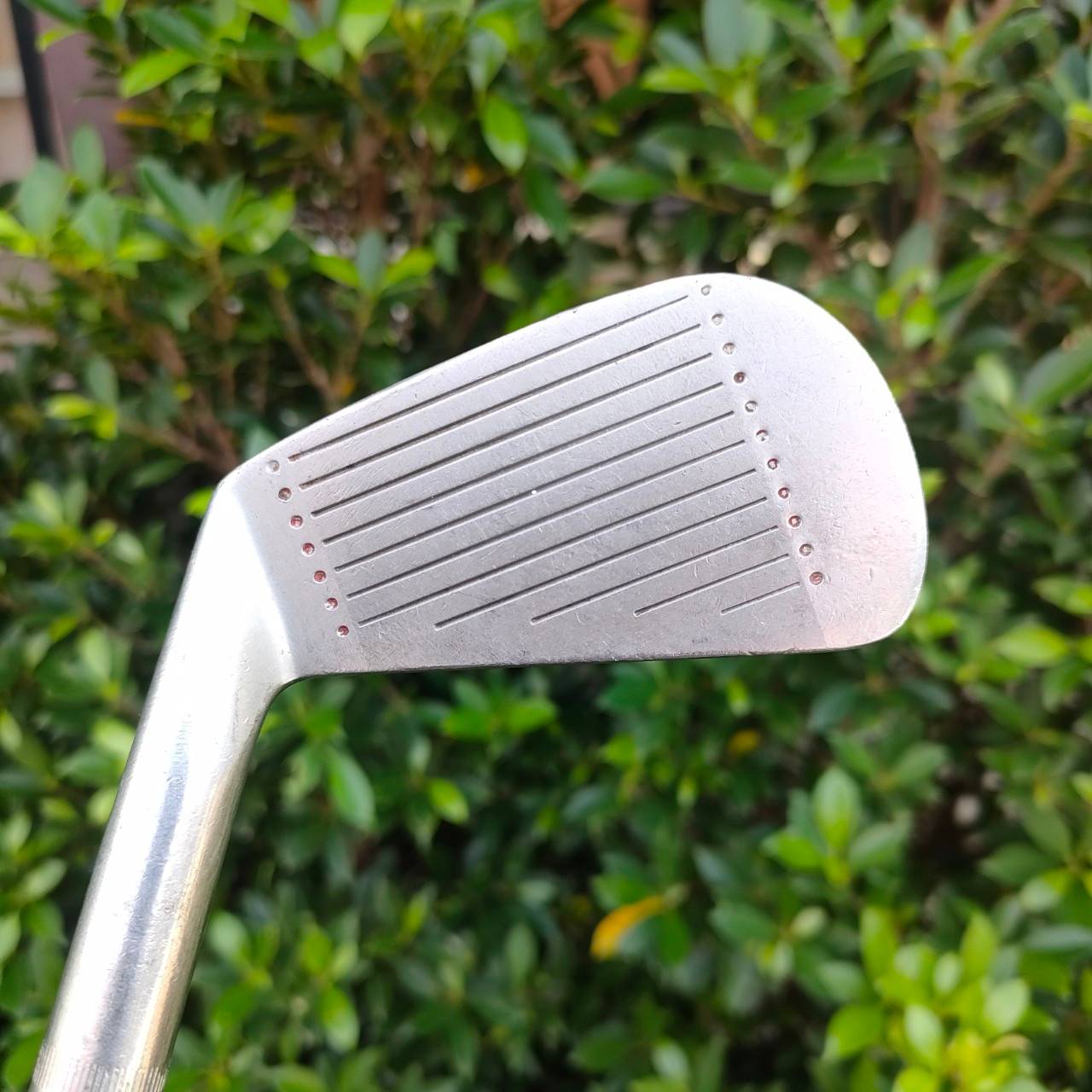 ชุดเหล็ก JACK NICKLAUS ทำร่วมกับ Salazenger เป็นเหล็ก FORGED นุ่ม ตีกัดลูดสปินจัด คุณภาพเยี่ยม มีเหล็ก 3-9 ก้านเดิมๆครับ