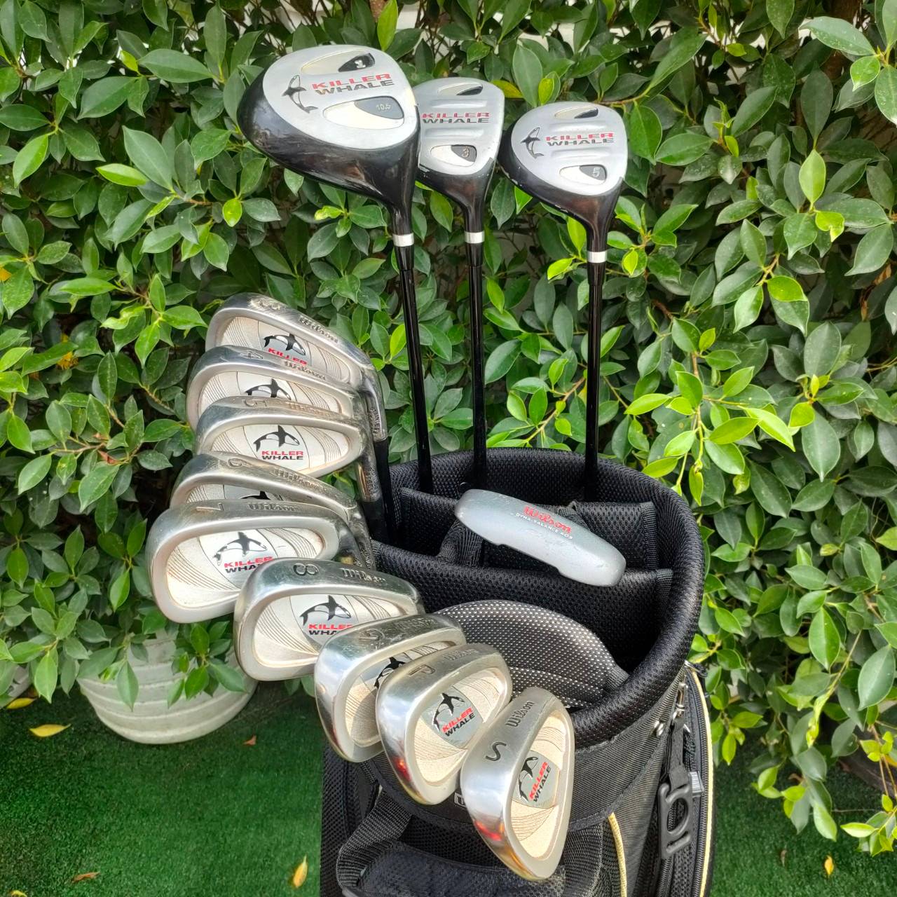 FULLSET WILSON KILLER WHALE ทั้งชุดประกอบด้วย หัวไม้ 1 3 5 ก้าน KILLER WHALE FLEX R ชุดเหล็ก 3-9 เเละ PW SW PUTTER WILSON พร้อมถุงกอล์ฟ WILSON เดิมๆทั้งชุด ครบเลยครับ พร้อมออกรอบได้เลยครับ ไม่ต้องซื้ออะไรเพิ่มแล้ว