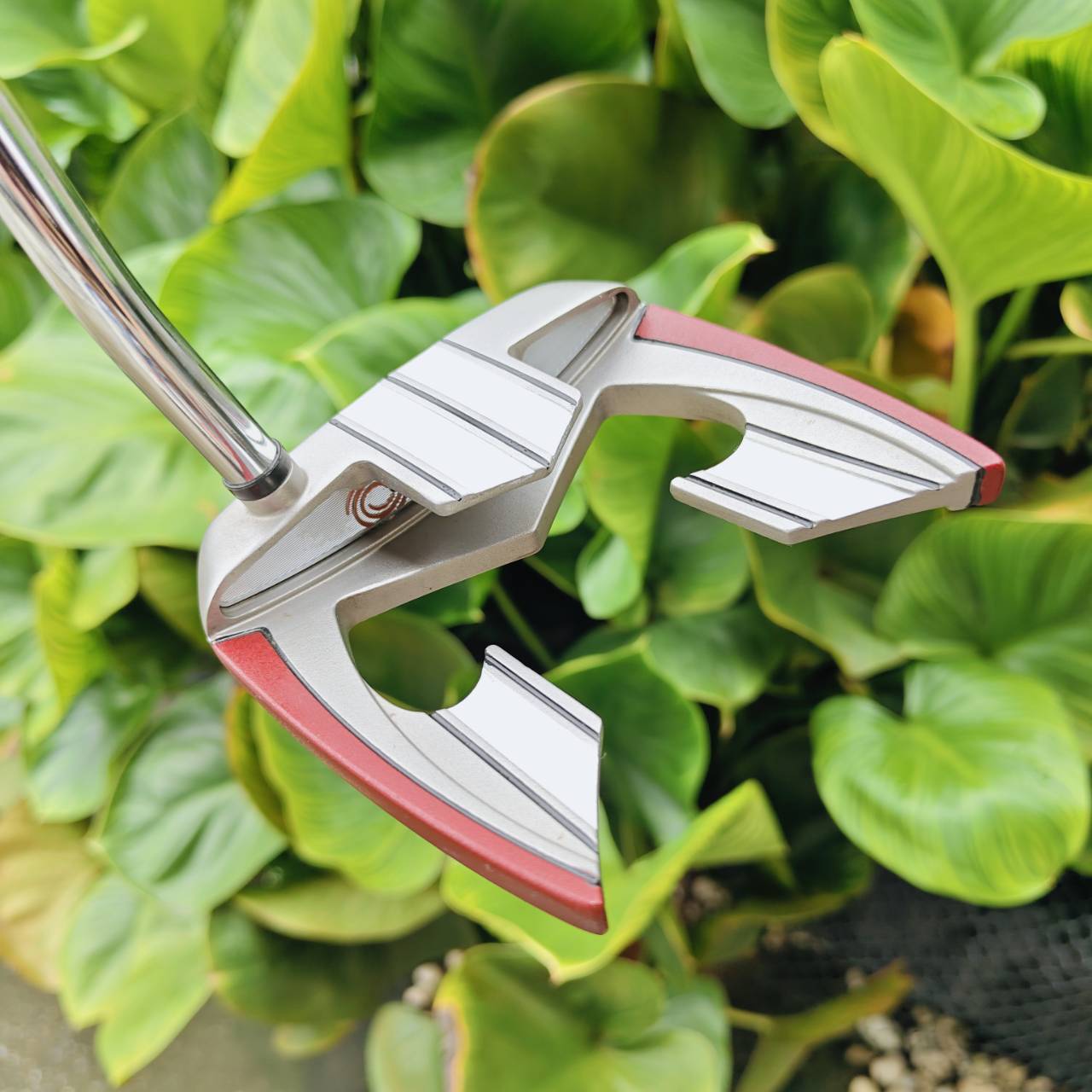 Putter Odyssey White Hot XG Teron พัตเตอร์หัว Mallet ดีไซน์ “Teron” ที่ขึ้นชื่อเรื่องการเล็งง่าย