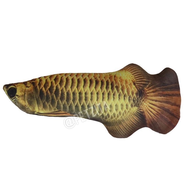 🇹🇭พร้อมส่ง🇹🇭 ตุ๊กตาปลาแคทปนิป 🐟🐠🦈 ยัดในผสมไส้แคทนิป หญ้ากัญชาแมว