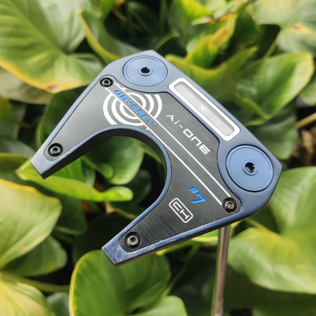PUTTER ODYSSEY AI-ONE #7 CH 34 นิ้ว COVER แท้เดิม เบอร์ 7 เป็นรูปทรงที่นิยมสูงสุดในตอนนี้
