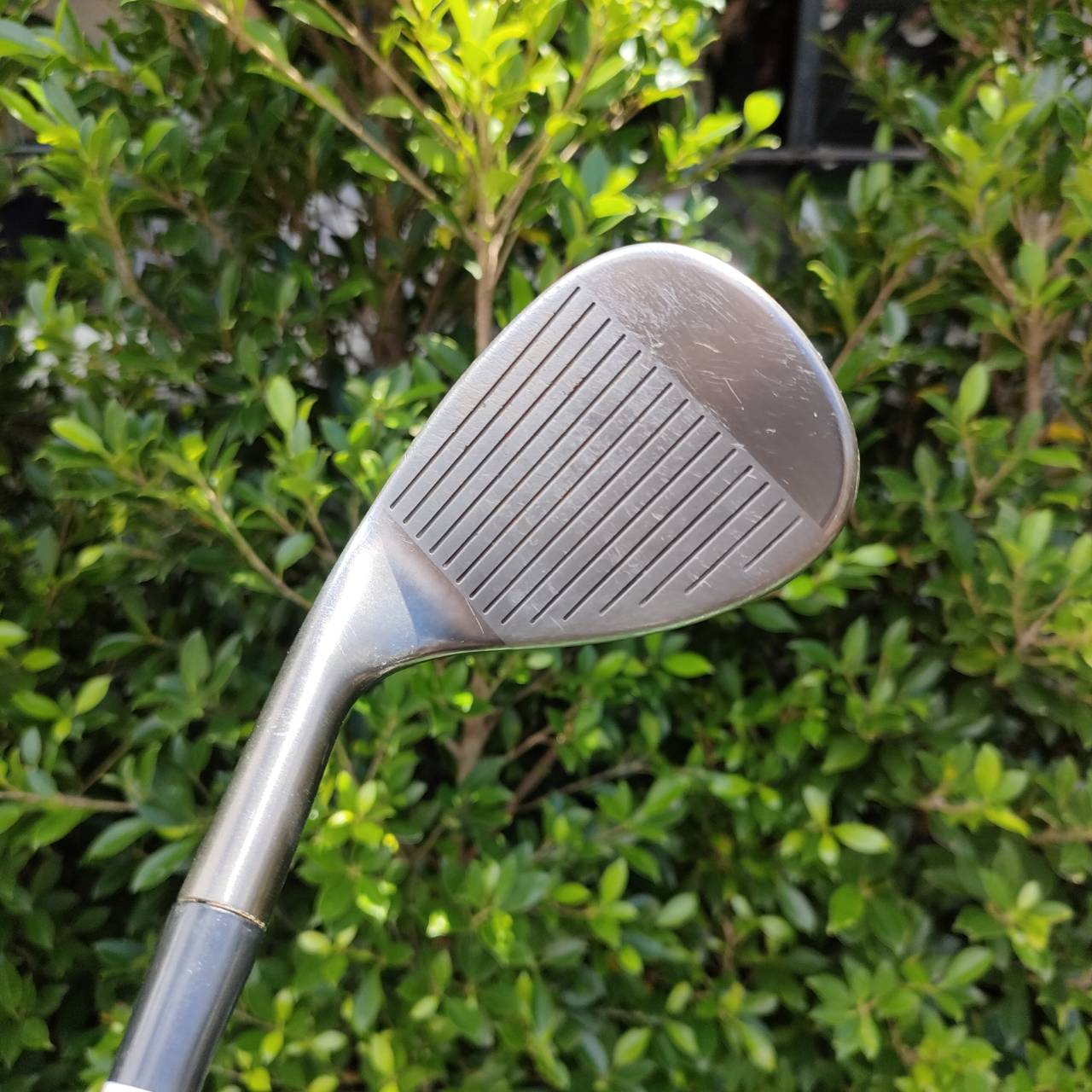 WEDGE CLEVELAND CG10 องศา 56 สามจุด ก้าน DYNAMIC GOLD