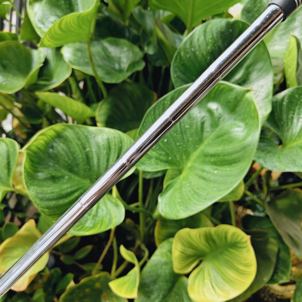 Callaway X FORGED WEDGE (Rust Finish) องศา 60° | Bounce 10 | C-Grind