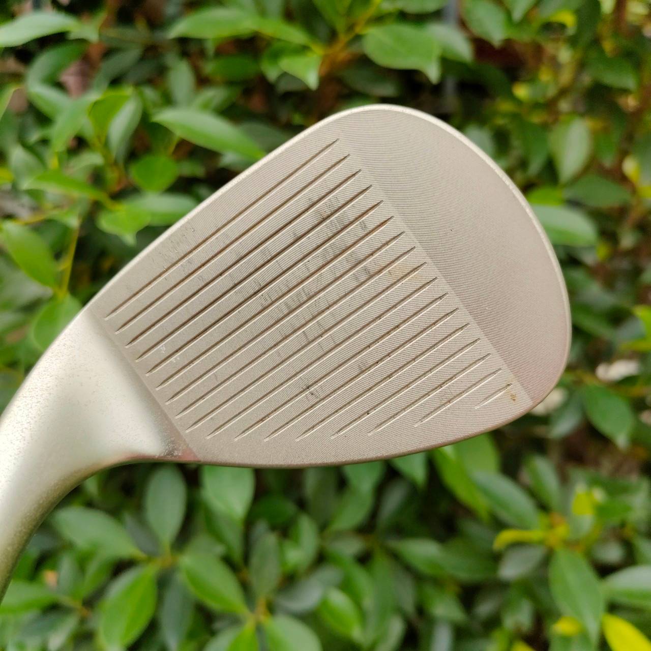 WEDGE TITLELIST SM5 BV S GRIND องศา 56 BOUNCE 10 ก้าน BV VOKEY DESIGN FLEX WEDGE หน้าตะไบ สับๆตกหยุดครับ!!